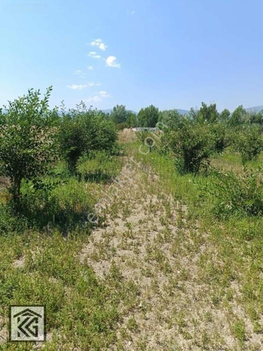 Akşehir Doğrugöz Yeni Tokilere Yakını Satılık Arsa — fotoğraf 21