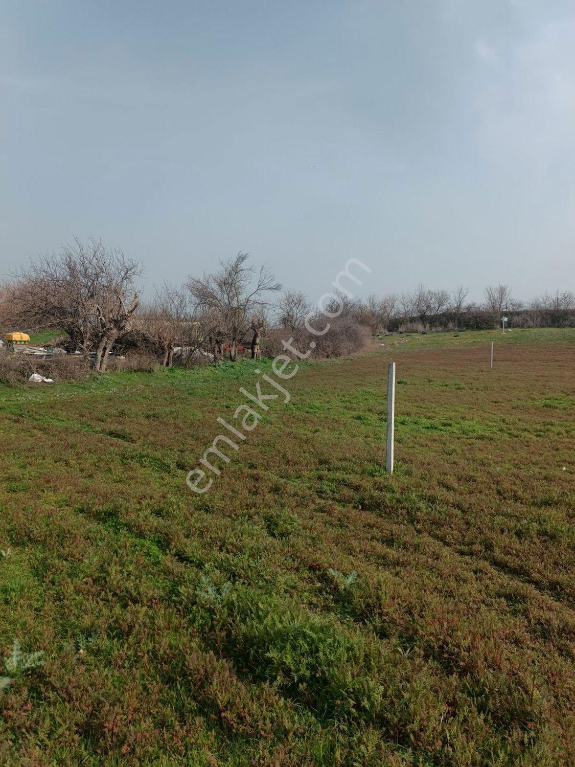 Edirne Meriçte Büyükaltiağaç Köyünde Muhteşem — fotoğraf 8