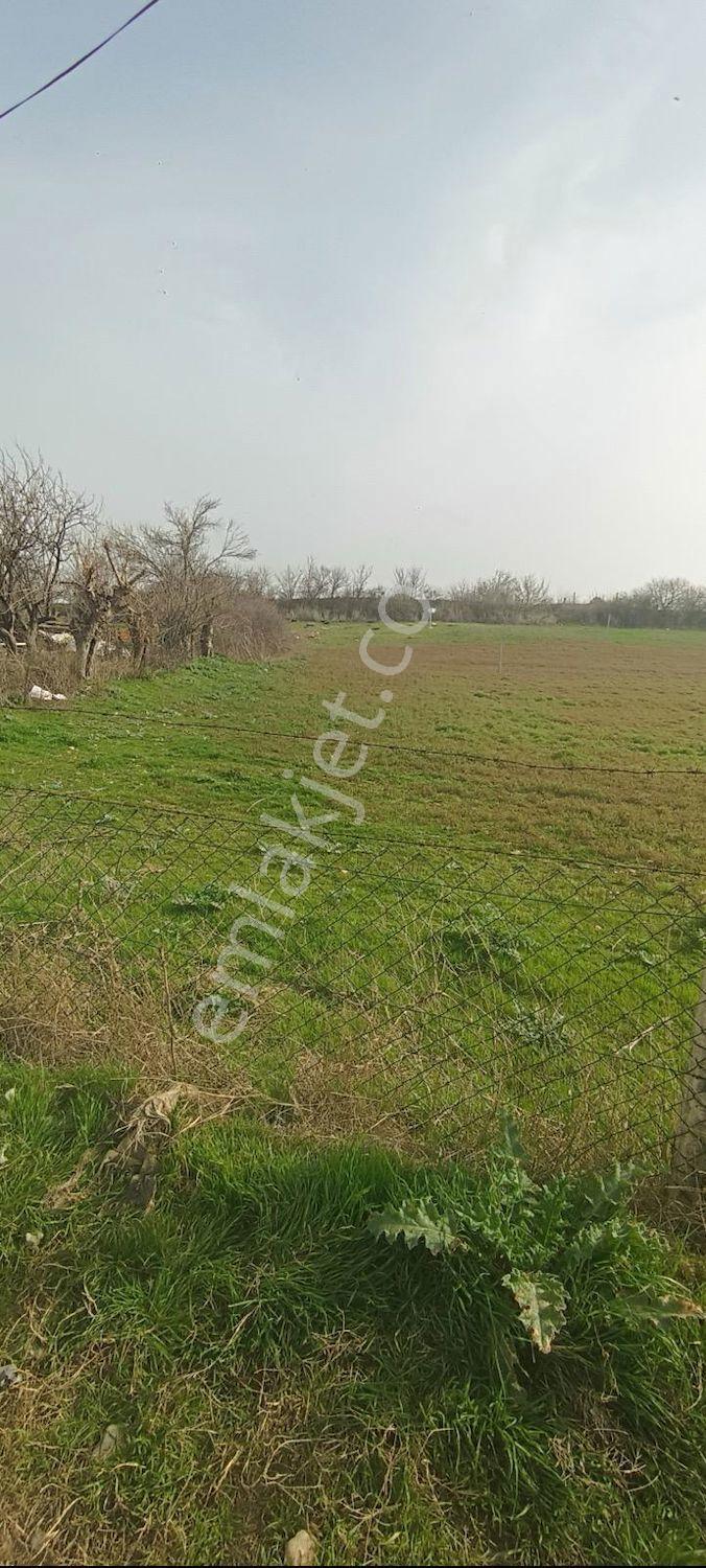 Edirne Meriçte Büyükaltiağaç Köyünde Muhteşem — fotoğraf 9