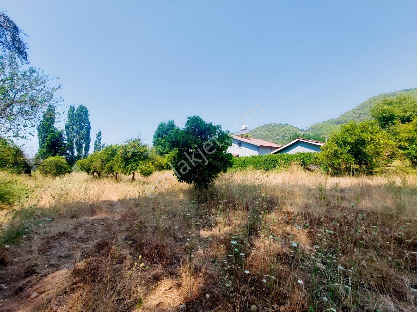 Fethiye İnlice'de Satılık 3050m2 Denizeyakın Satılık Gayrimenkul — fotoğraf 2