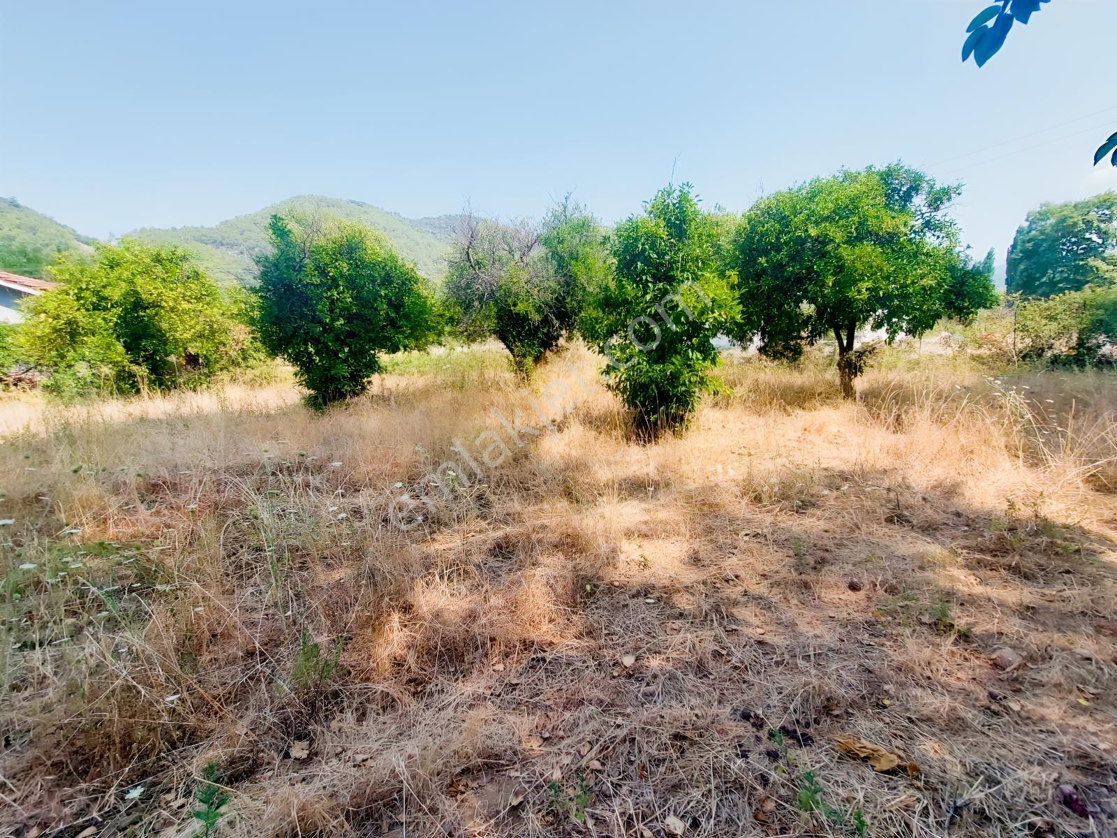 Fethiye İnlice'de Satılık 3050m2 Denizeyakın Satılık Gayrimenkul — fotoğraf 4