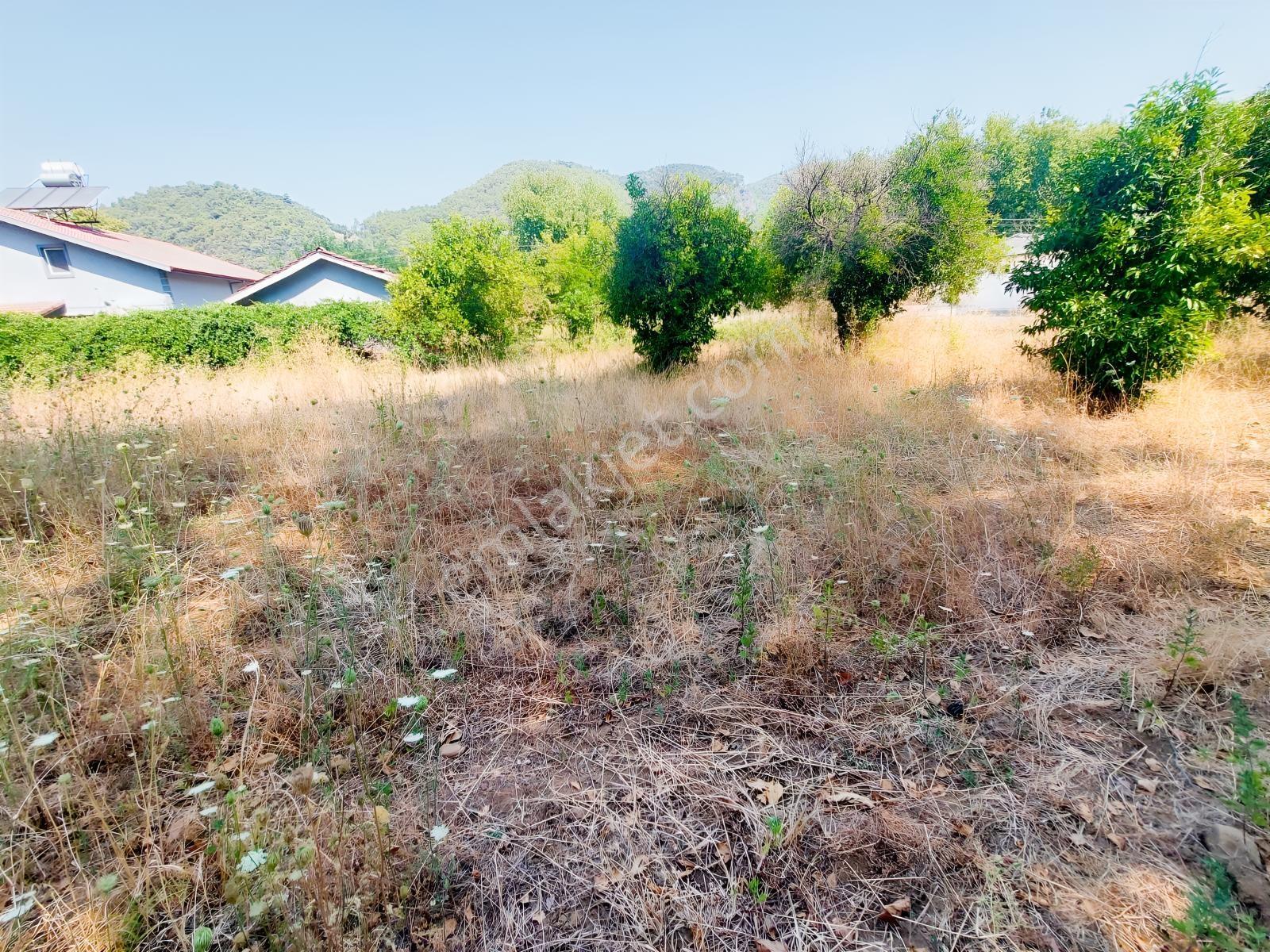 Fethiye İnlice'de Satılık 3050m2 Denizeyakın Satılık Gayrimenkul — fotoğraf 5