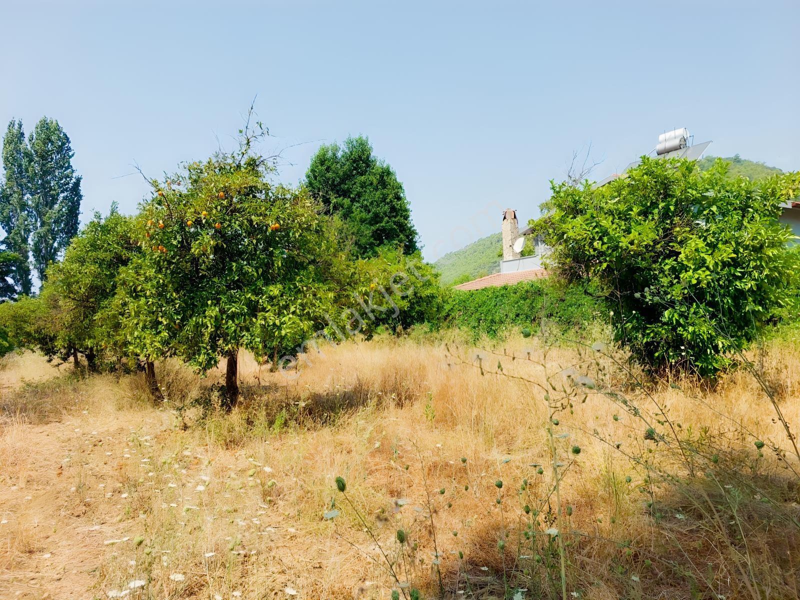 Fethiye İnlice'de Satılık 3050m2 Denizeyakın Satılık Gayrimenkul — fotoğraf 6