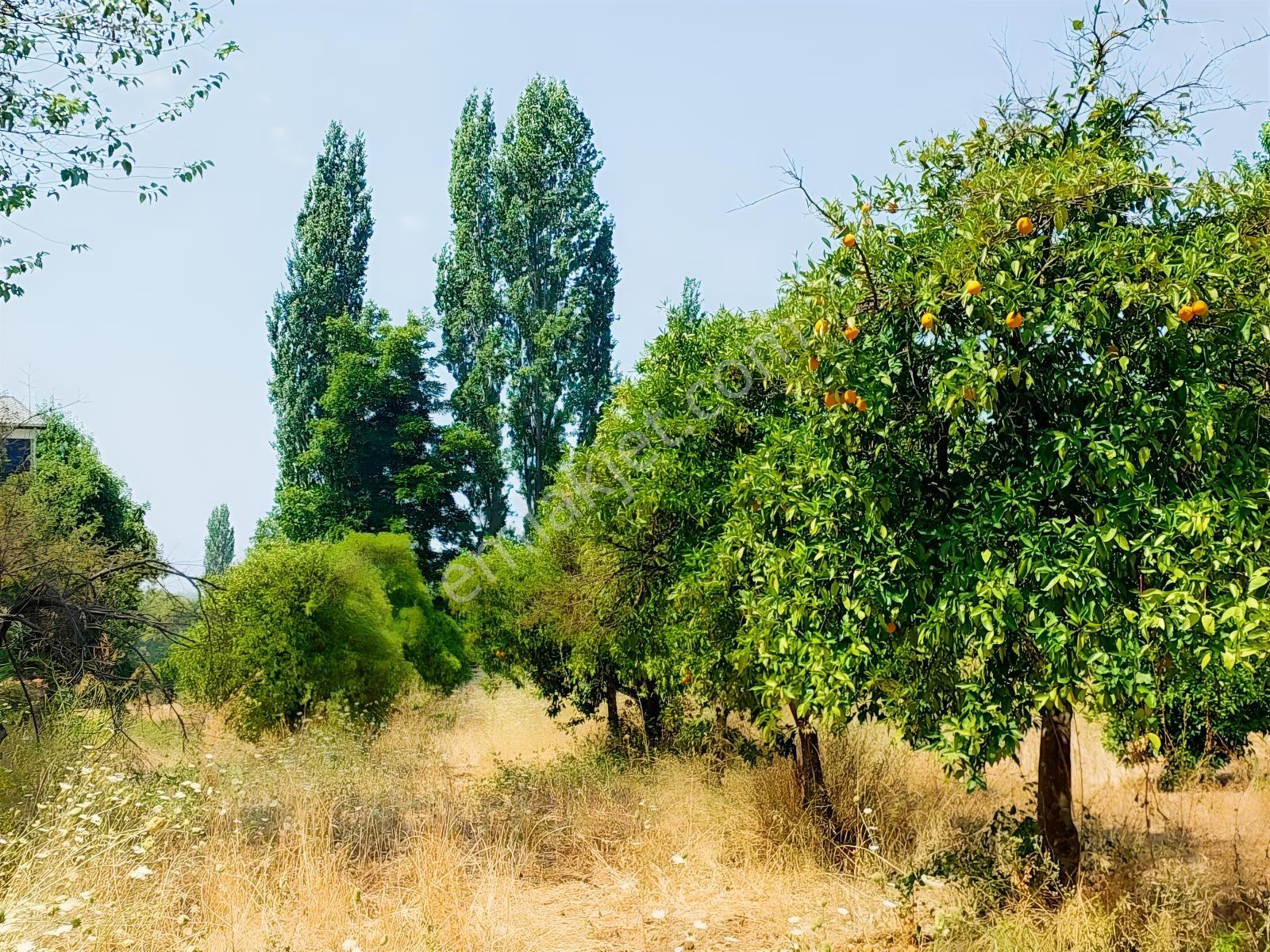 Fethiye İnlice'de Satılık 3050m2 Denizeyakın Satılık Gayrimenkul — fotoğraf 7