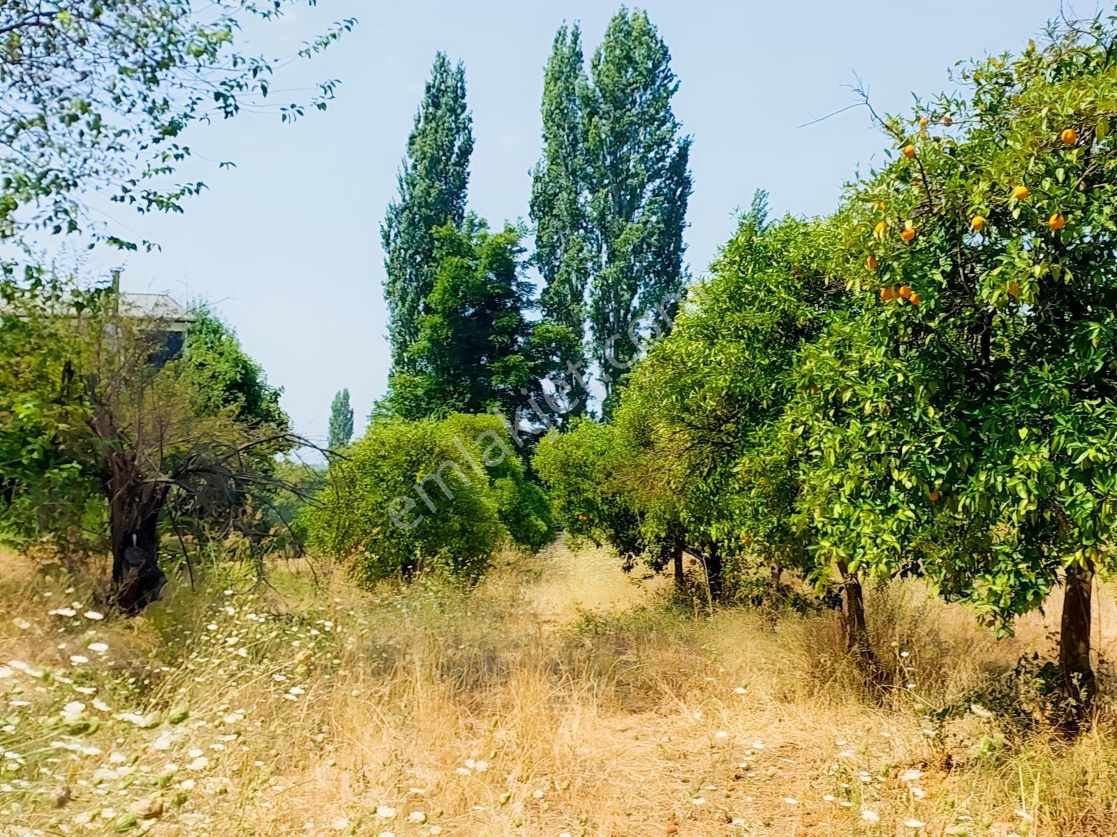 Fethiye İnlice'de Satılık 3050m2 Denizeyakın Satılık Gayrimenkul — fotoğraf 9
