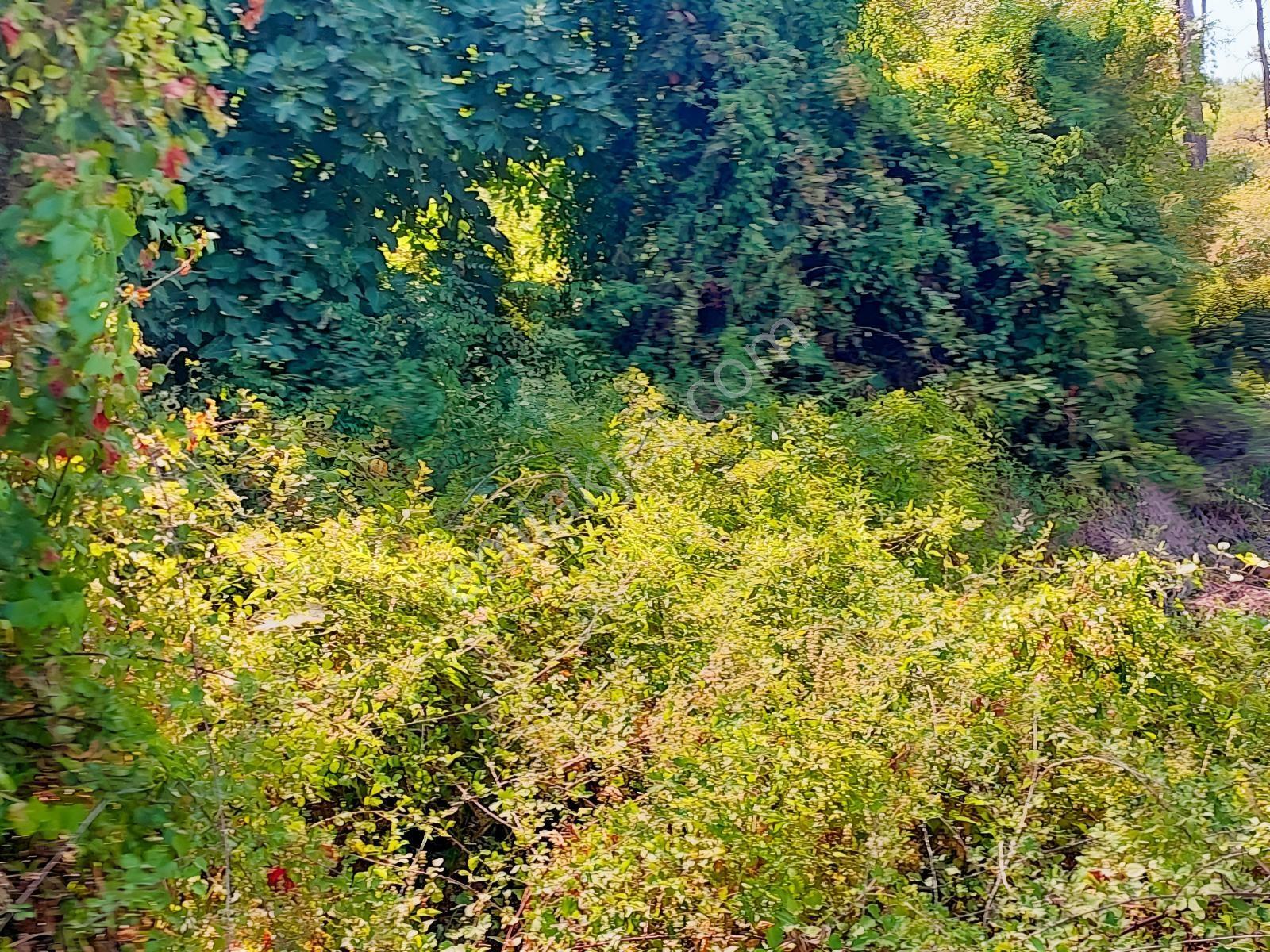 Fethiye İnlice'de Satılık 3050m2 Denizeyakın Satılık Gayrimenkul — fotoğraf 11