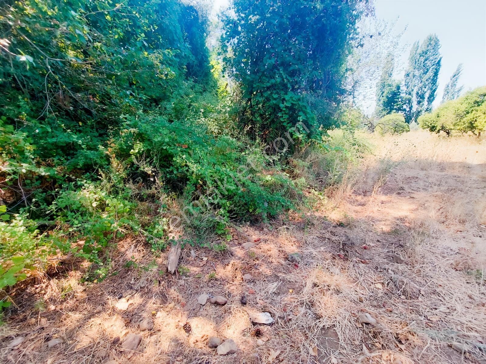 Fethiye İnlice'de Satılık 3050m2 Denizeyakın Satılık Gayrimenkul — fotoğraf 12