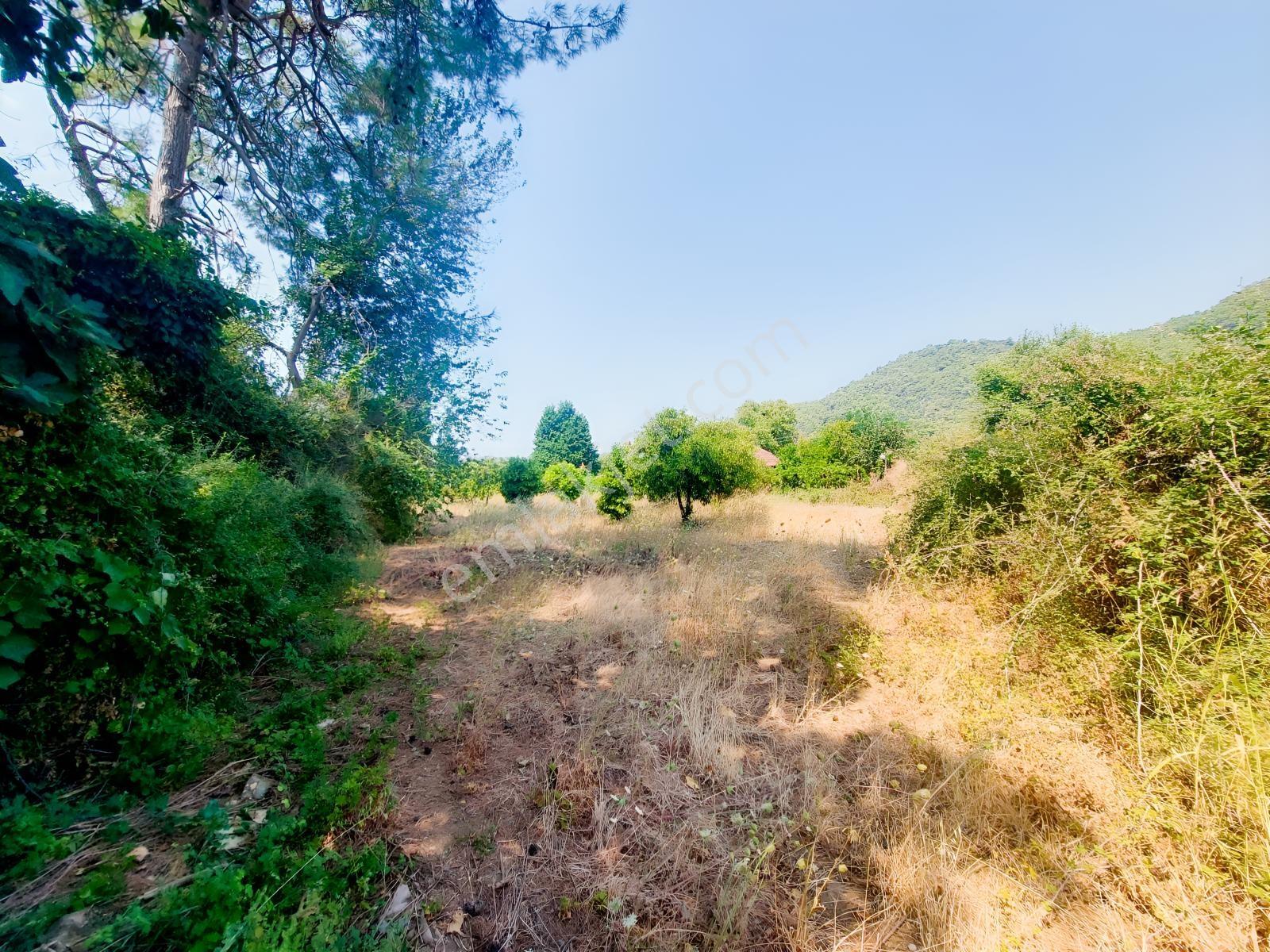 Fethiye İnlice'de Satılık 3050m2 Denizeyakın Satılık Gayrimenkul — fotoğraf 13