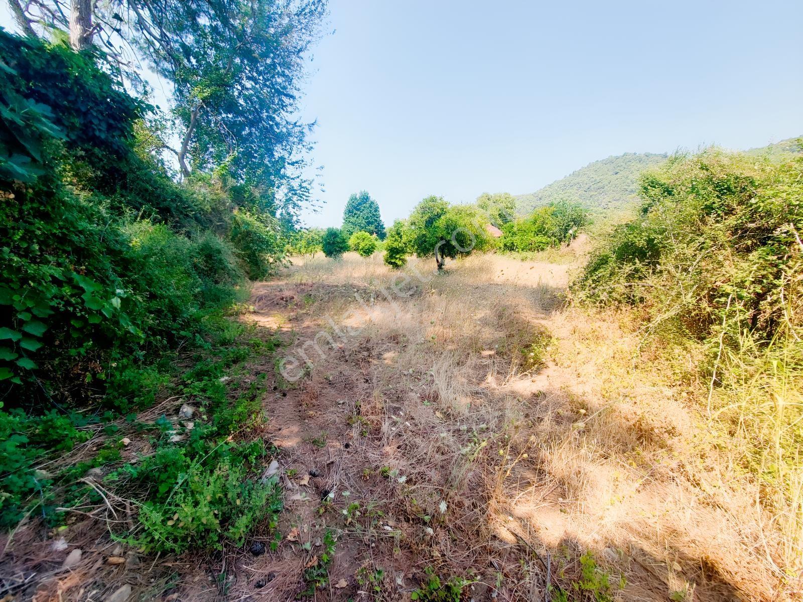 Fethiye İnlice'de Satılık 3050m2 Denizeyakın Satılık Gayrimenkul — fotoğraf 14