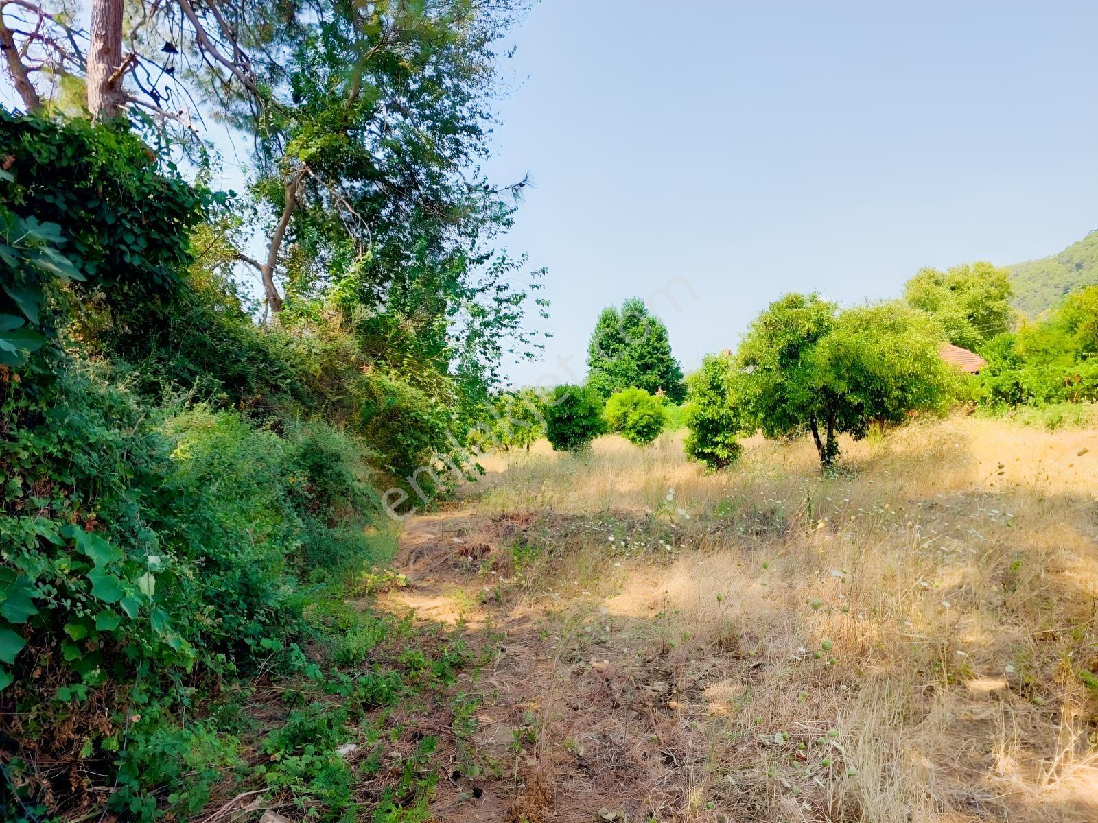 Fethiye İnlice'de Satılık 3050m2 Denizeyakın Satılık Gayrimenkul — fotoğraf 15