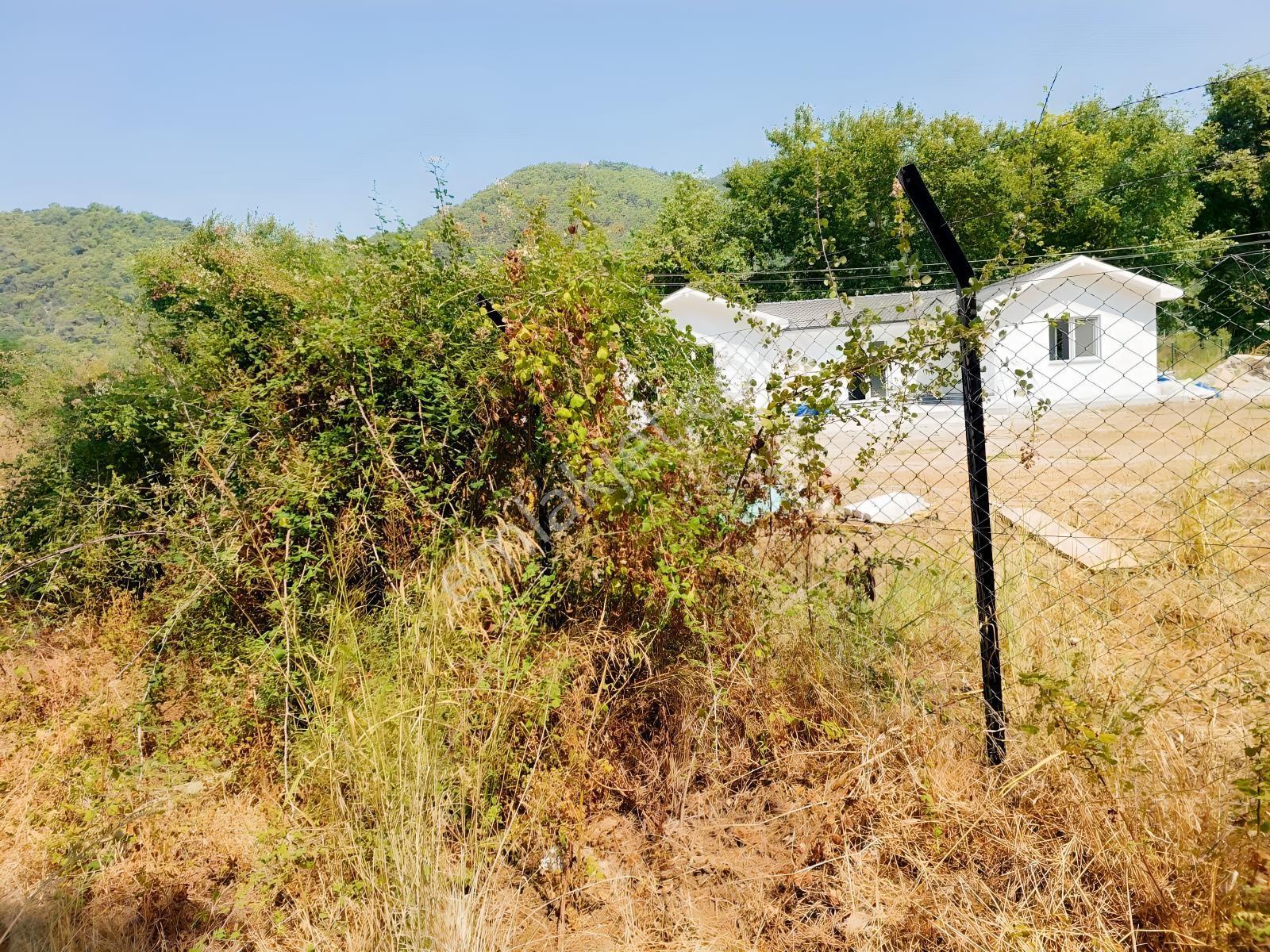 Fethiye İnlice'de Satılık 3050m2 Denizeyakın Satılık Gayrimenkul — fotoğraf 16