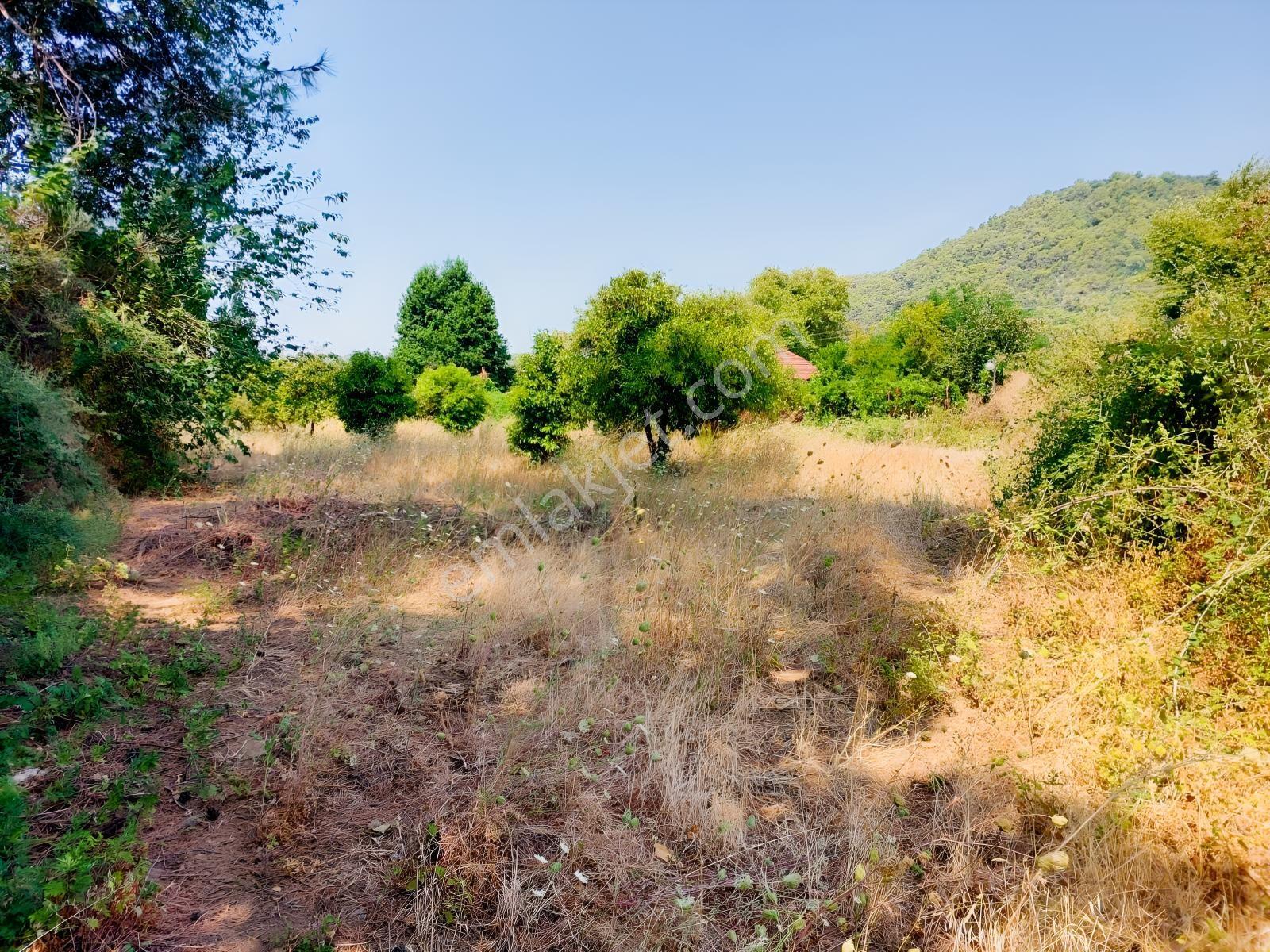 Fethiye İnlice'de Satılık 3050m2 Denizeyakın Satılık Gayrimenkul — fotoğraf 17