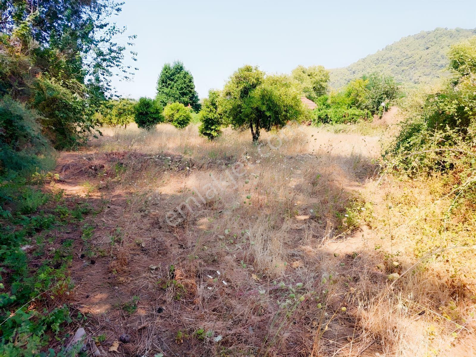 Fethiye İnlice'de Satılık 3050m2 Denizeyakın Satılık Gayrimenkul — fotoğraf 18