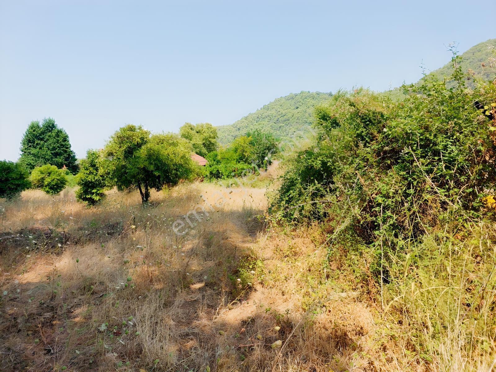 Fethiye İnlice'de Satılık 3050m2 Denizeyakın Satılık Gayrimenkul — fotoğraf 19