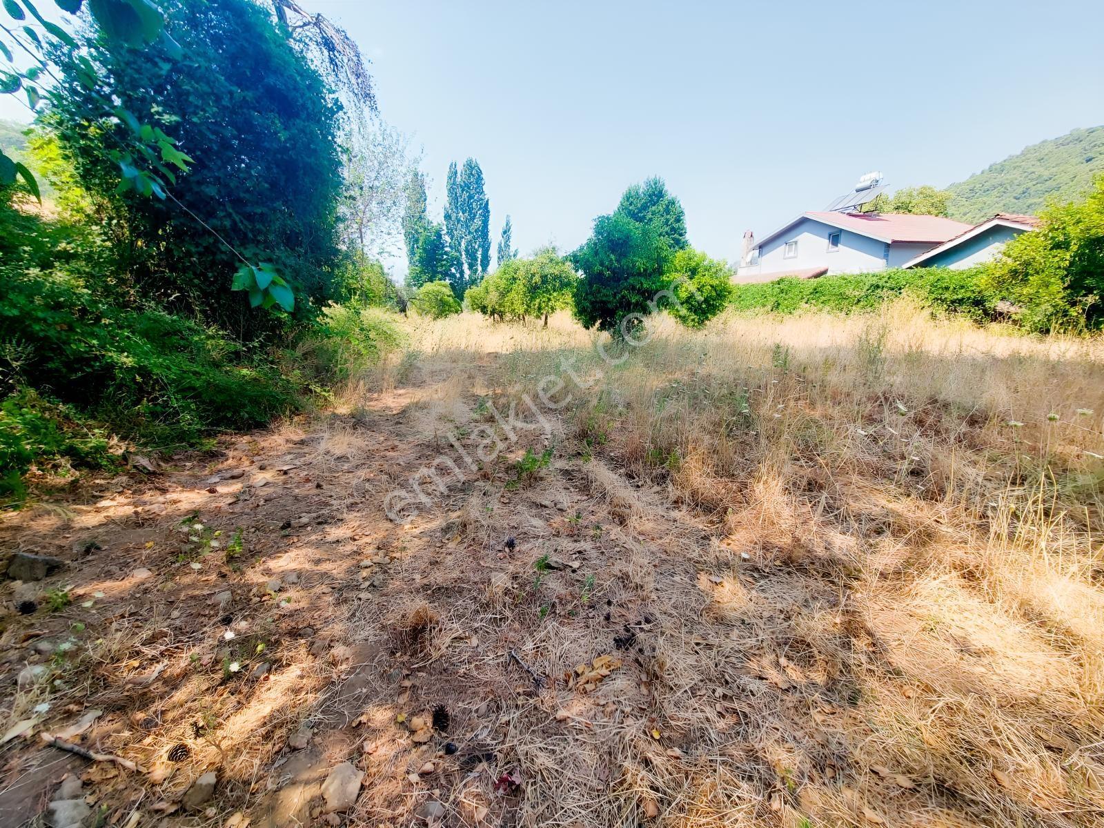 Fethiye İnlice'de Satılık 3050m2 Denizeyakın Satılık Gayrimenkul — fotoğraf 20