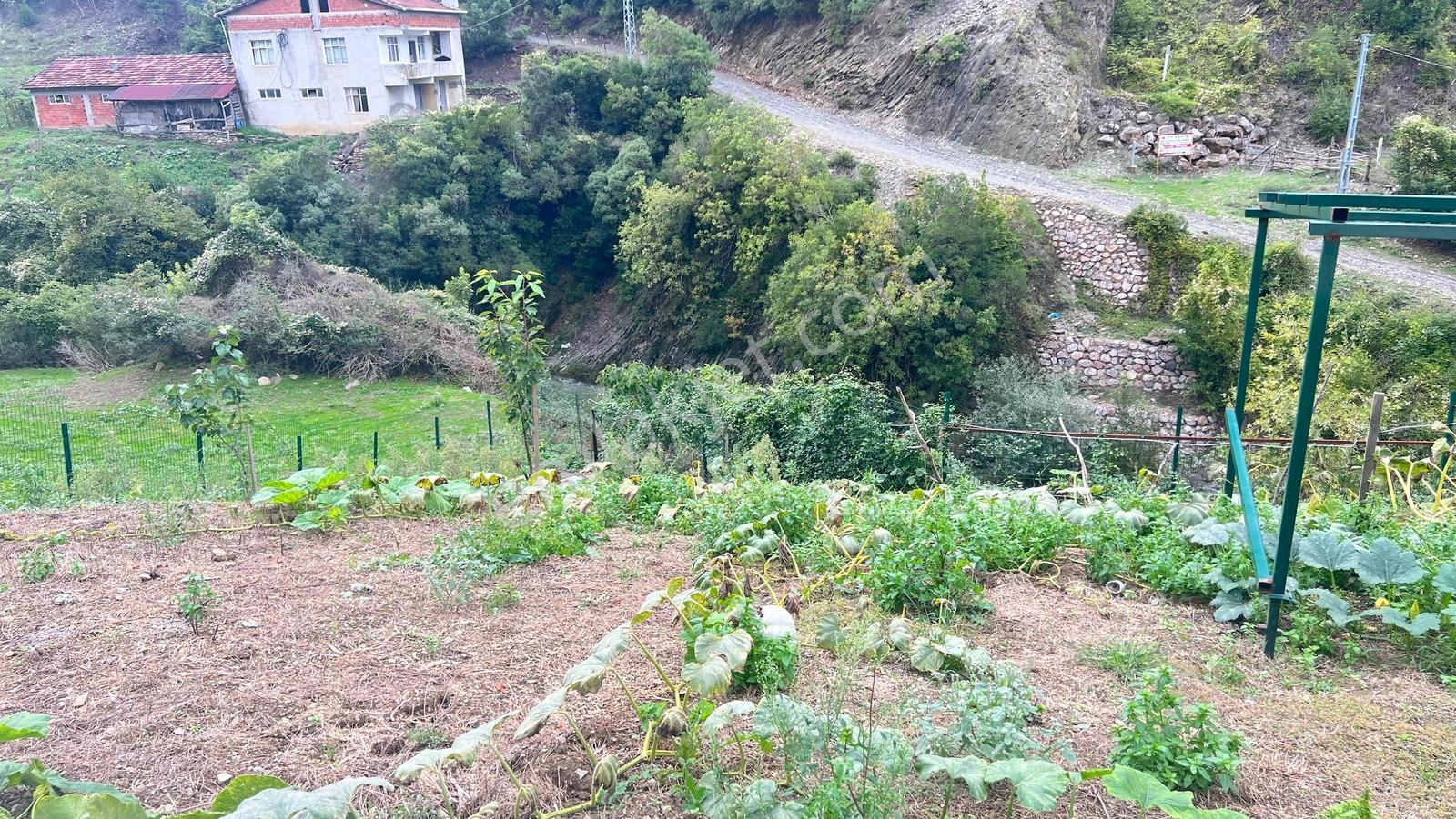 Bafra Vıp Gayrimenkulden Yakakent Yeşilköy Satılık 2 Katlı Villa — fotoğraf 15