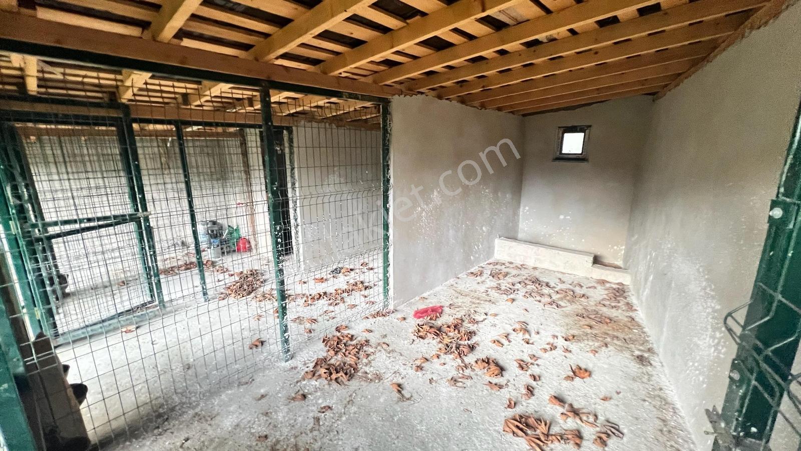 Bafra Vıp Gayrimenkulden Yakakent Yeşilköy Satılık 2 Katlı Villa — fotoğraf 35