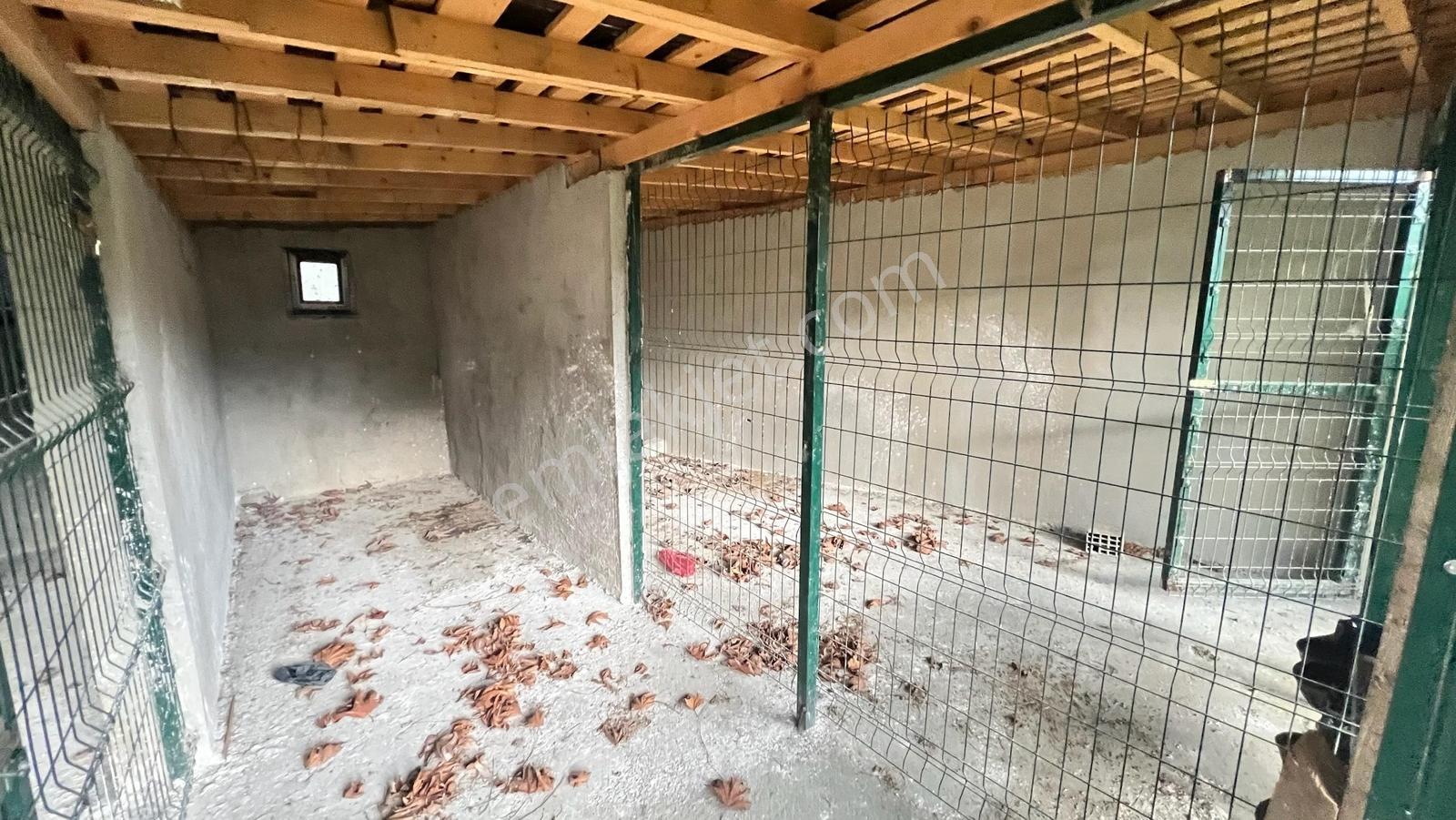 Bafra Vıp Gayrimenkulden Yakakent Yeşilköy Satılık 2 Katlı Villa — fotoğraf 36