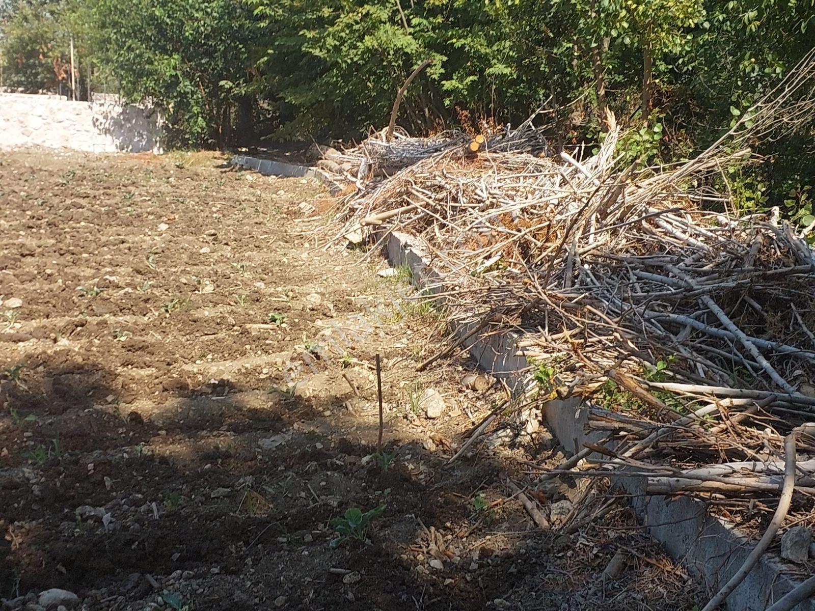 Seydikemer Yaka Mahallesinde Satılık %25 Köy İçi İmar Lı Arsa — fotoğraf 2