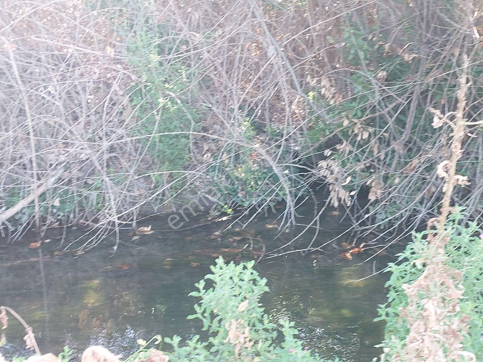 Seydikemer Yaka Mahallesinde Satılık %25 Köy İçi İmar Lı Arsa — fotoğraf 3