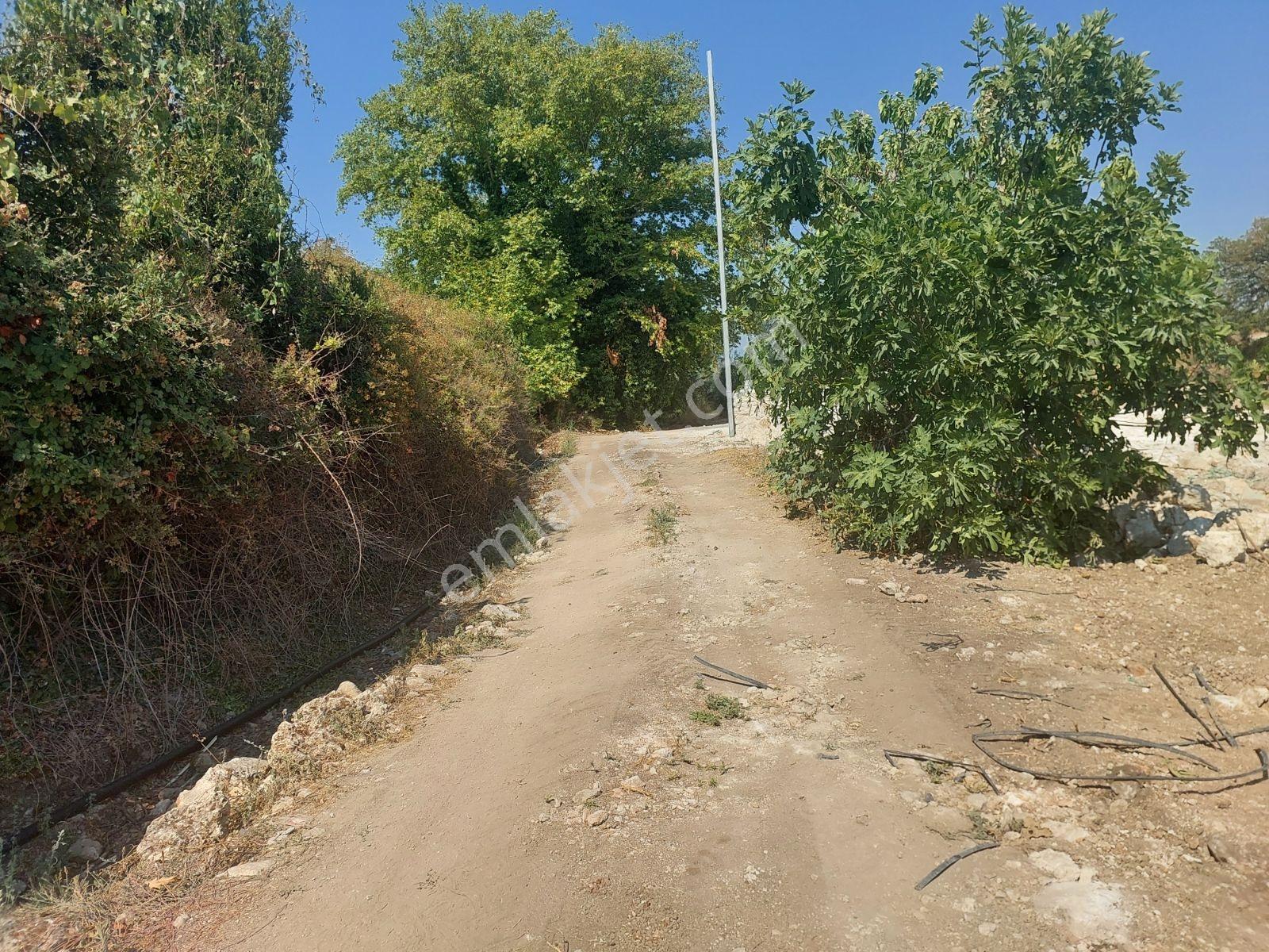 Seydikemer Yaka Mahallesinde Satılık %25 Köy İçi İmar Lı Arsa — fotoğraf 11