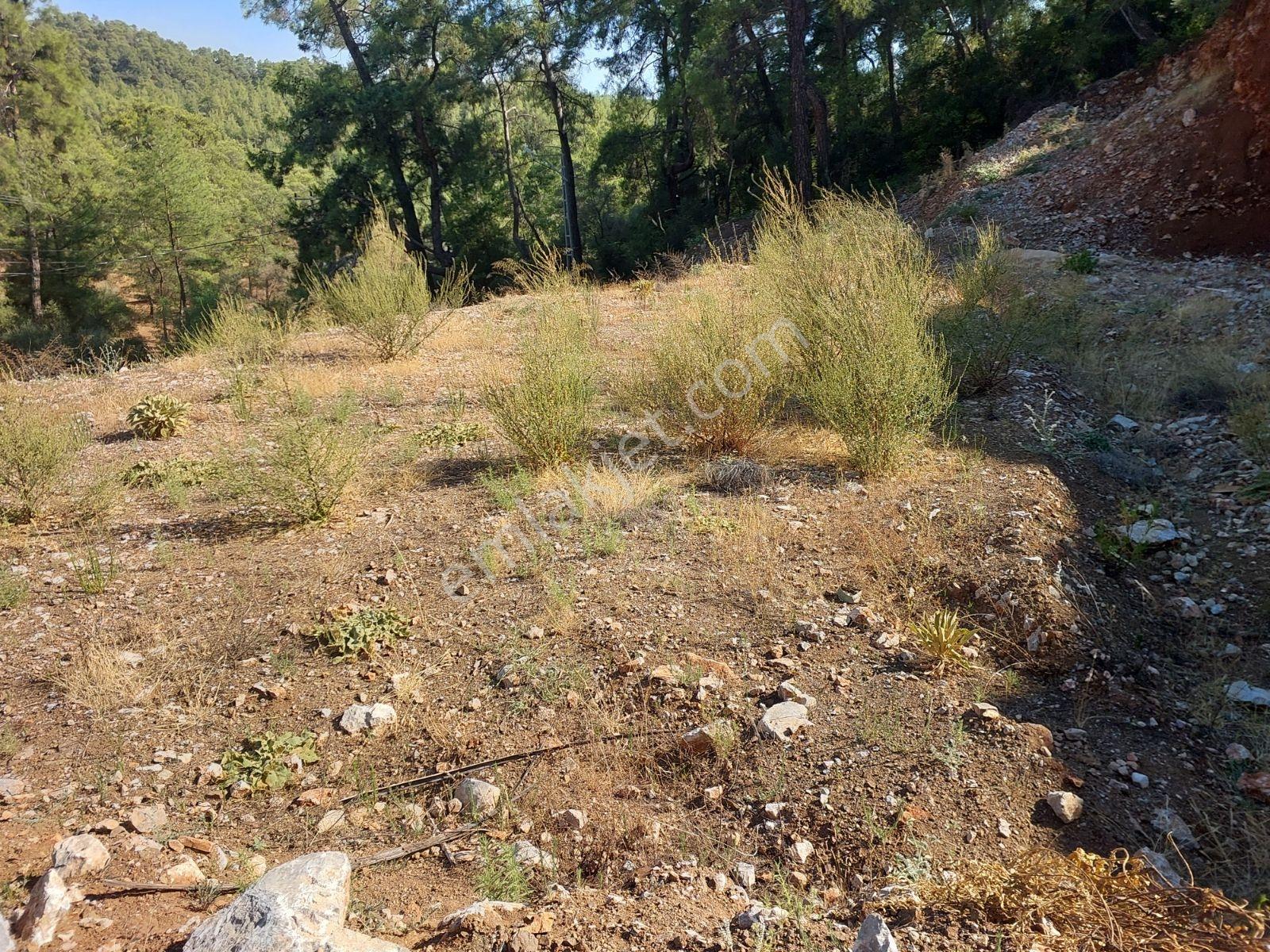 Fethiye İnlice Mah.de Müstakil 876m2 Satılık Köşe Parsell Arazi — fotoğraf 15