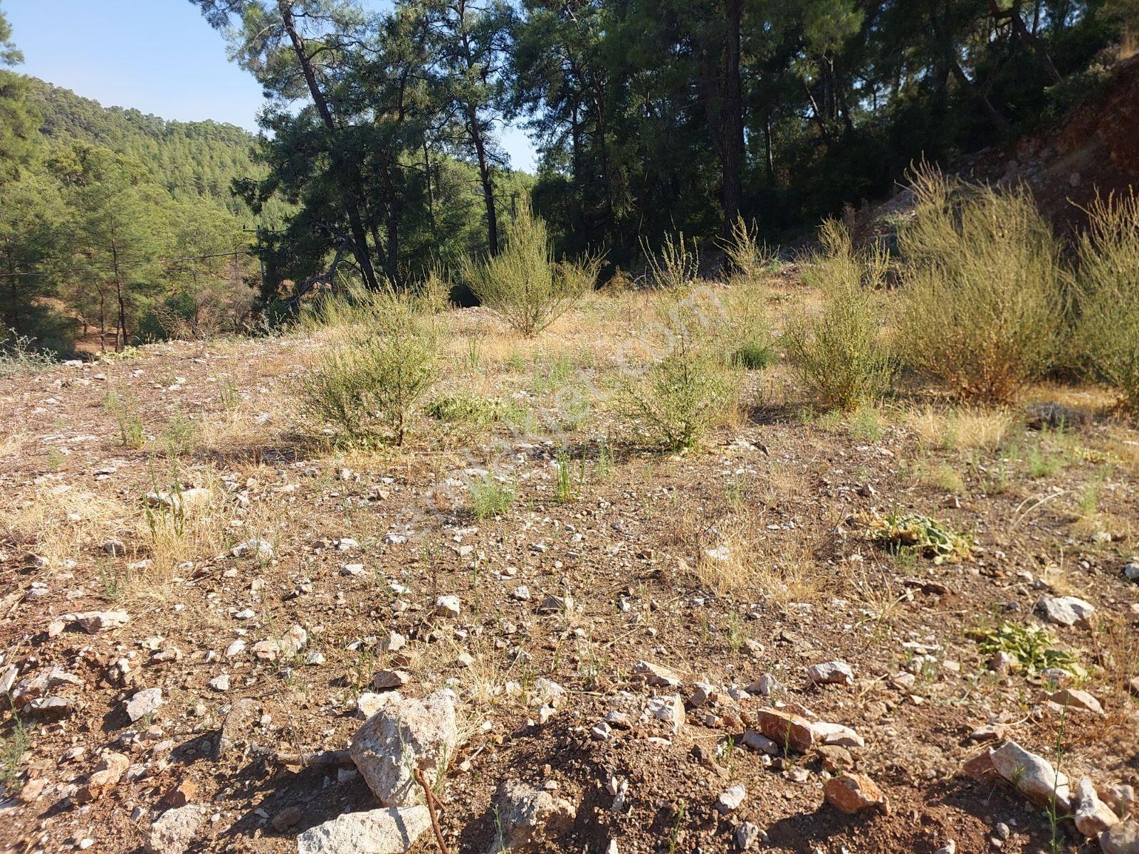 Fethiye İnlice Mah.de Müstakil 876m2 Satılık Köşe Parsell Arazi — fotoğraf 16