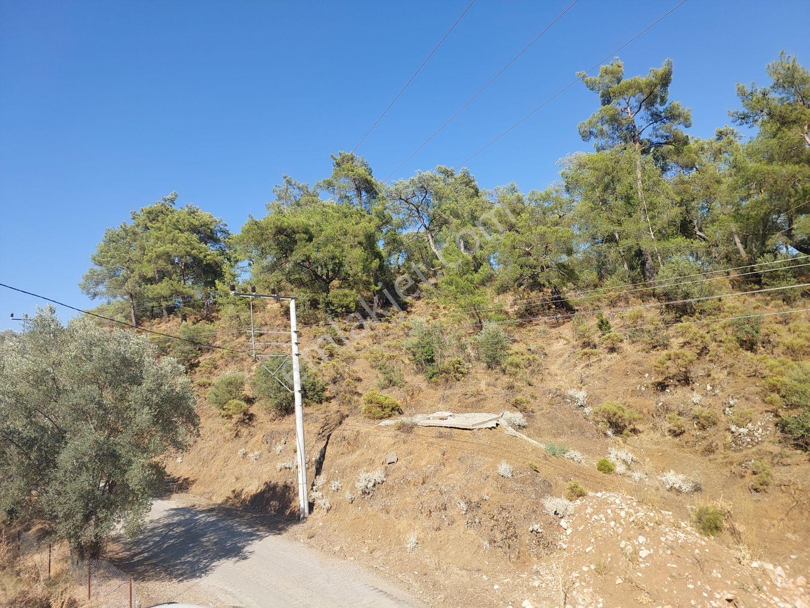 Fethiye İnlice Mah.de Müstakil 876m2 Satılık Köşe Parsell Arazi — fotoğraf 19