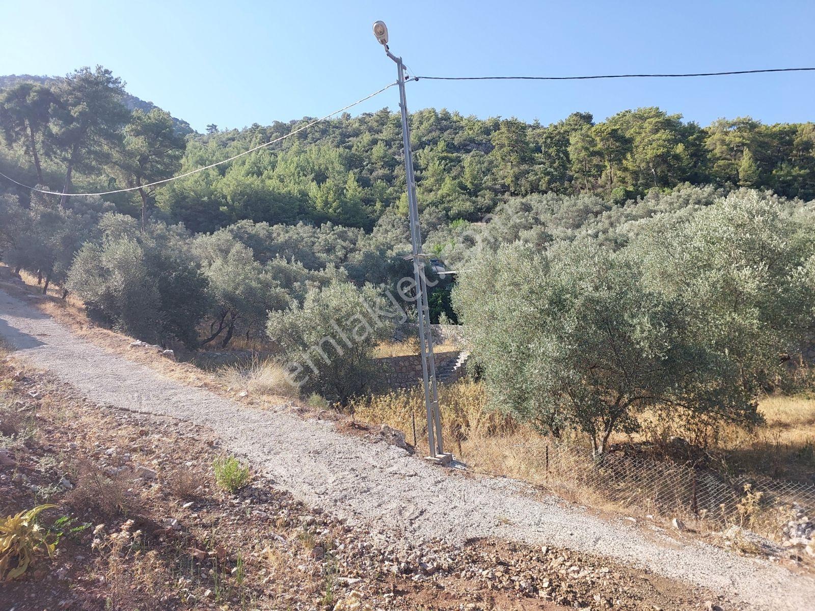 Fethiye İnlice Mah.de Müstakil 876m2 Satılık Köşe Parsell Arazi — fotoğraf 22