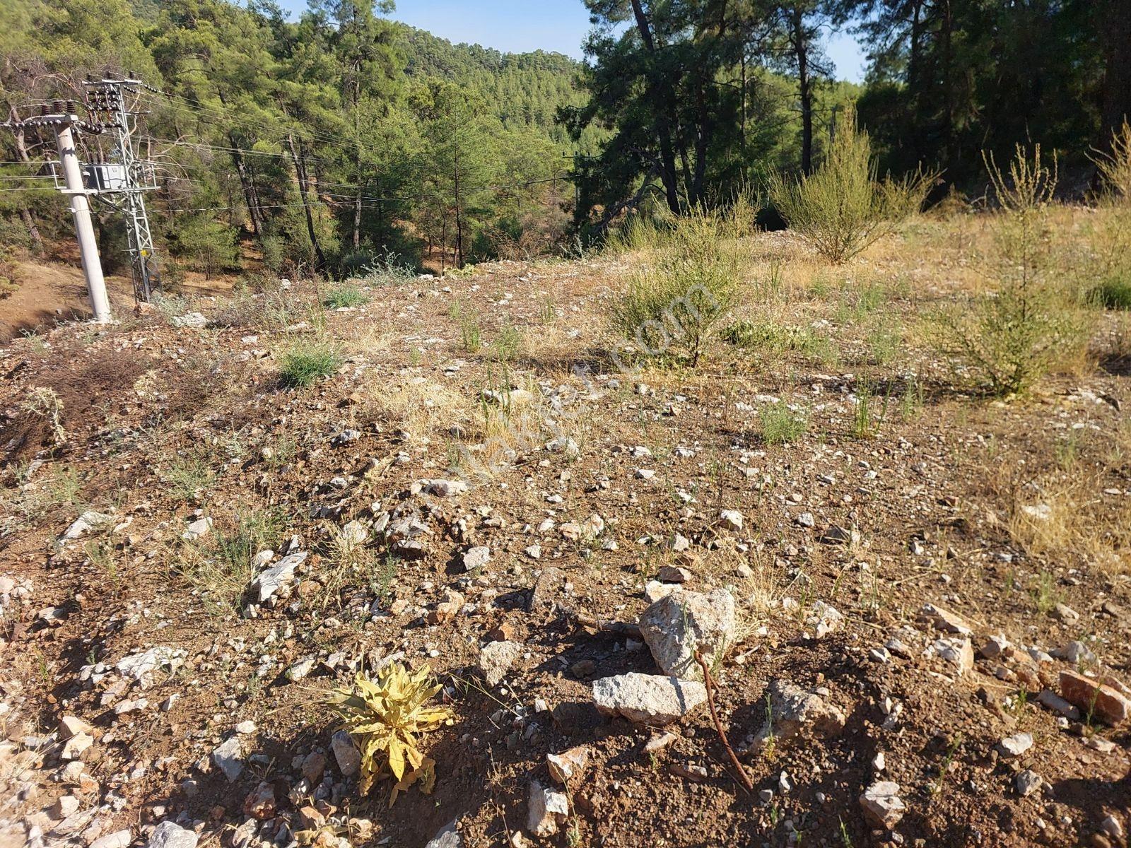Fethiye İnlice Mah.de Müstakil 876m2 Satılık Köşe Parsell Arazi — fotoğraf 25