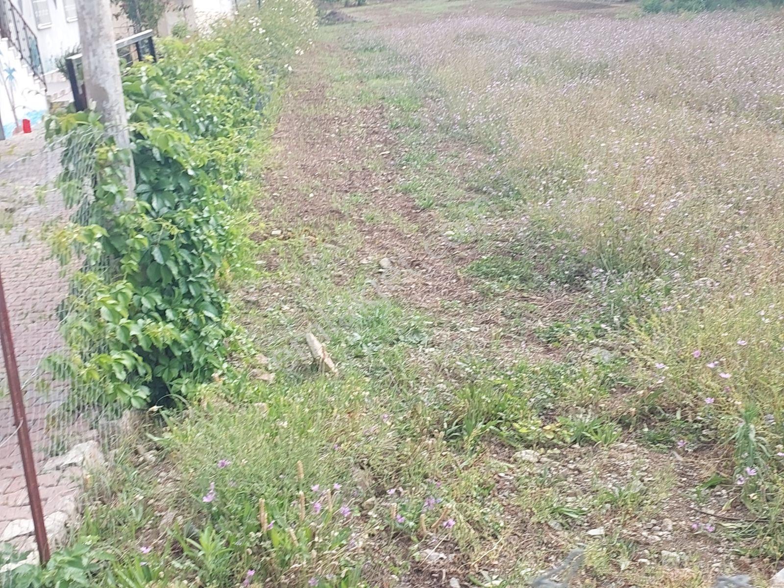 Fethiye Kargı Mah.de Kadastrol Yola Sıfır Satılık 1320m2 Arazi — fotoğraf 5