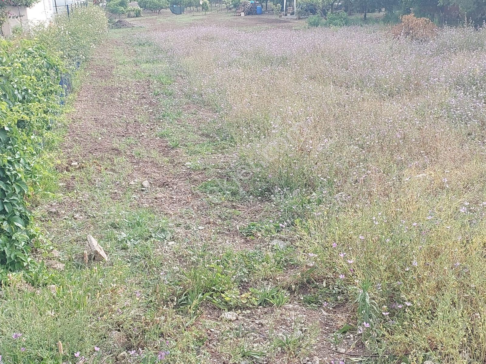 Fethiye Kargı Mah.de Kadastrol Yola Sıfır Satılık 1320m2 Arazi — fotoğraf 6