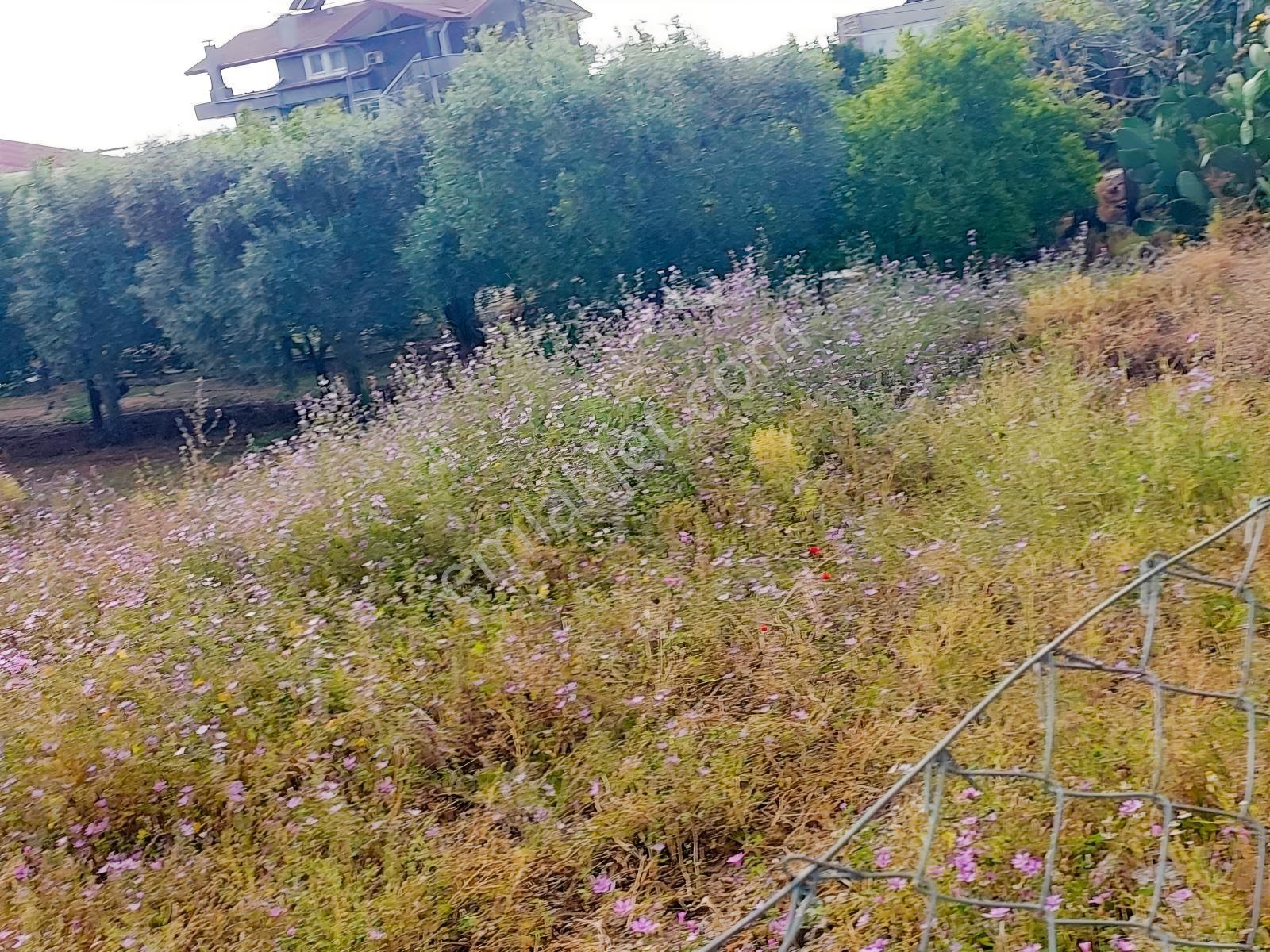 Fethiye Kargı Mah.de Kadastrol Yola Sıfır Satılık 1320m2 Arazi — fotoğraf 7