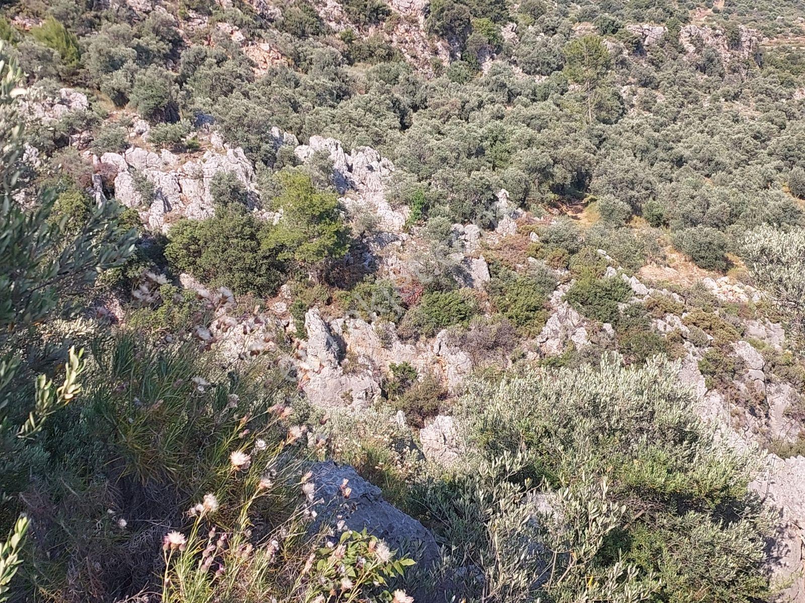 Fethiye İnlice Mh 5270m2 Satılık Tarımdışı Gayrimenkul — fotoğraf 7