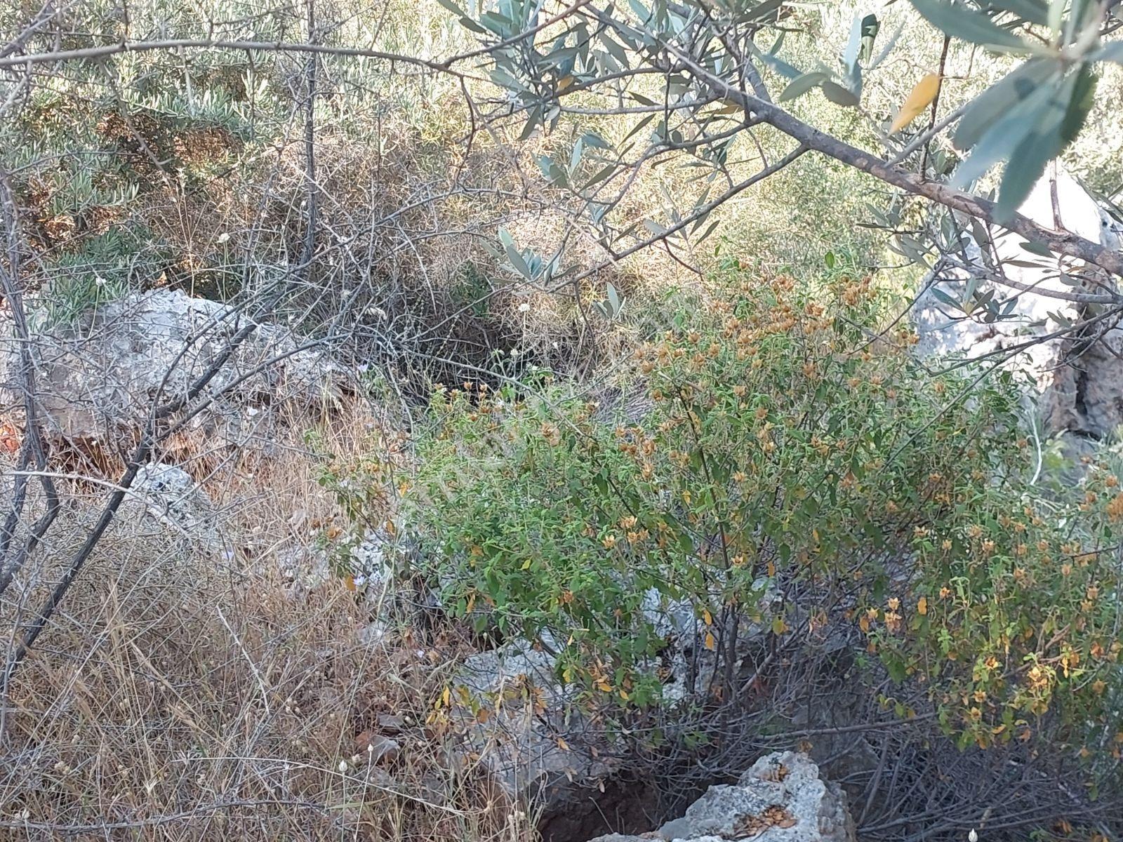 Fethiye İnlice Mh 5270m2 Satılık Tarımdışı Gayrimenkul — fotoğraf 9