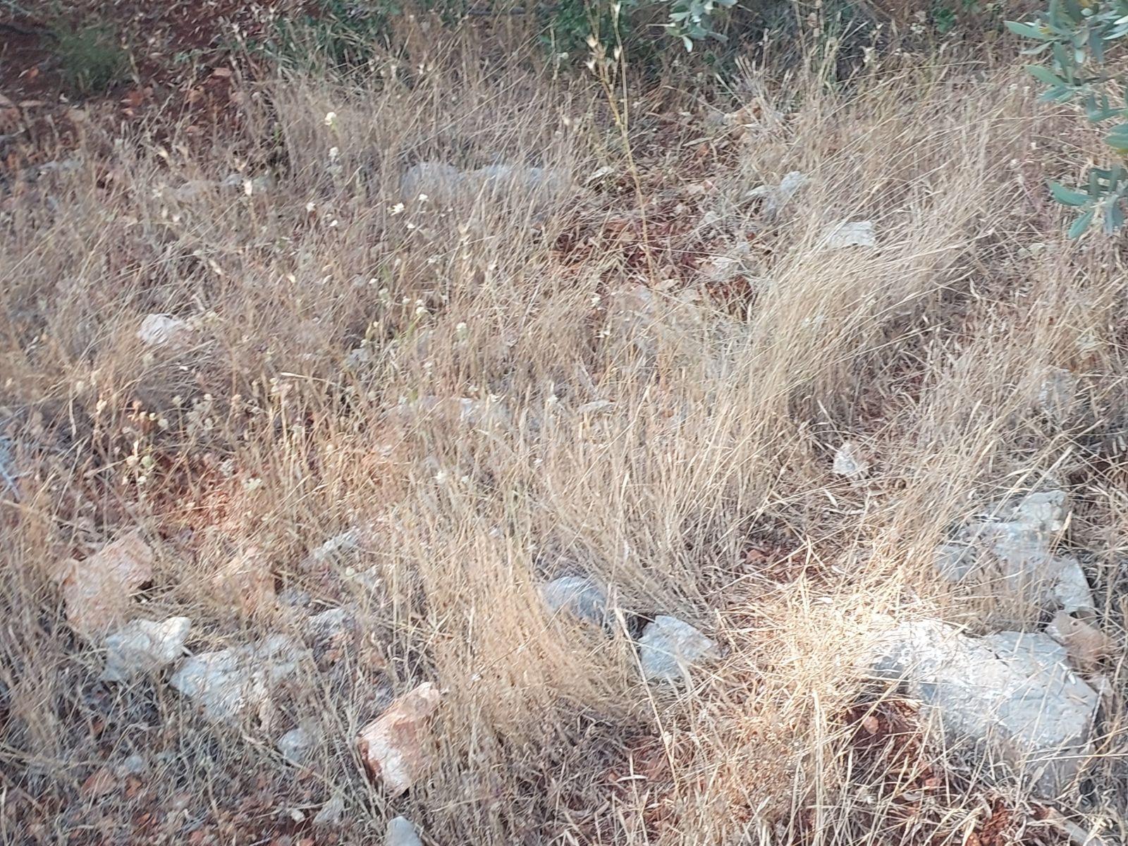 Fethiye İnlice Mh 5270m2 Satılık Tarımdışı Gayrimenkul — fotoğraf 10