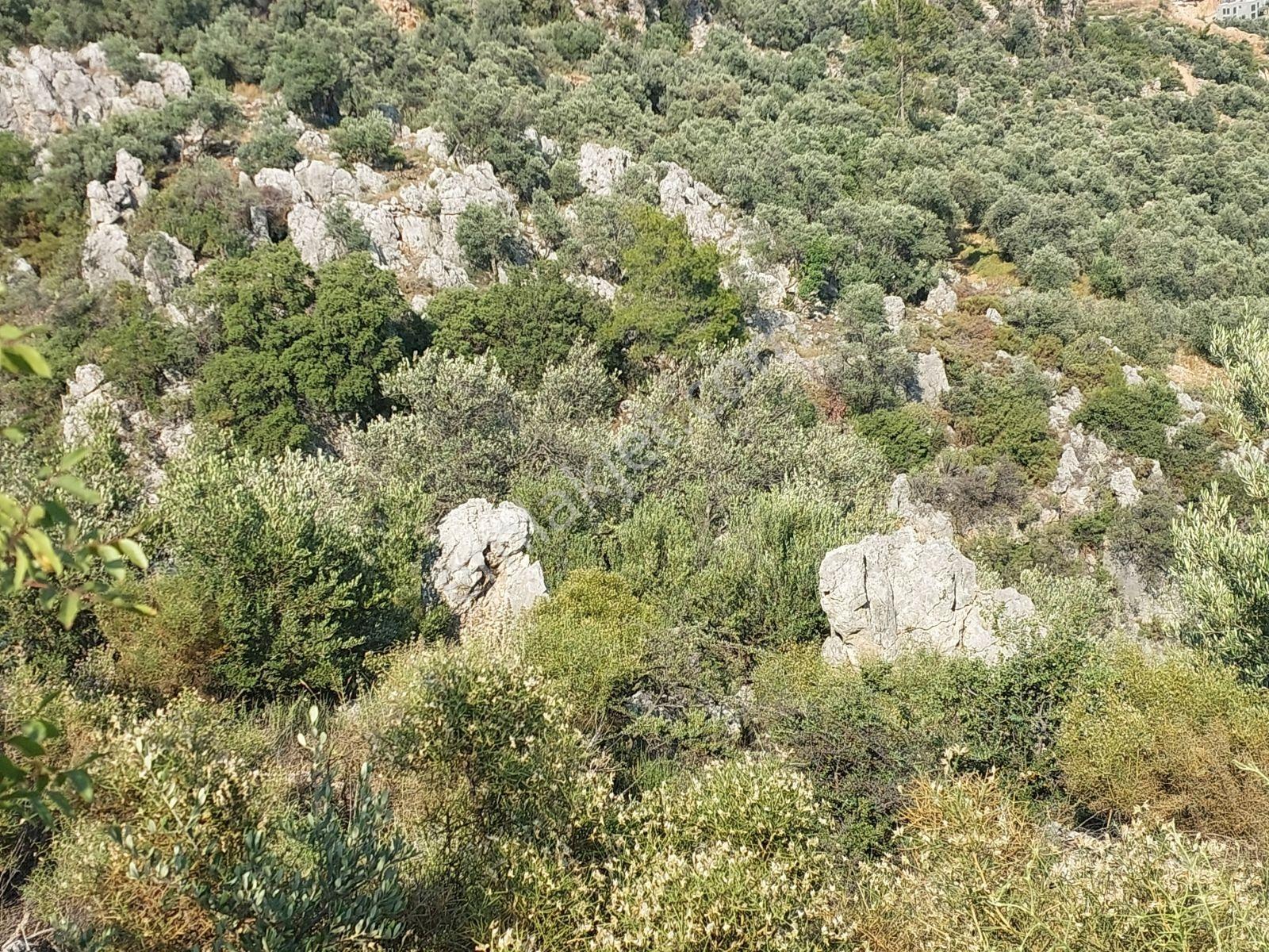 Fethiye İnlice Mh 5270m2 Satılık Tarımdışı Gayrimenkul — fotoğraf 12