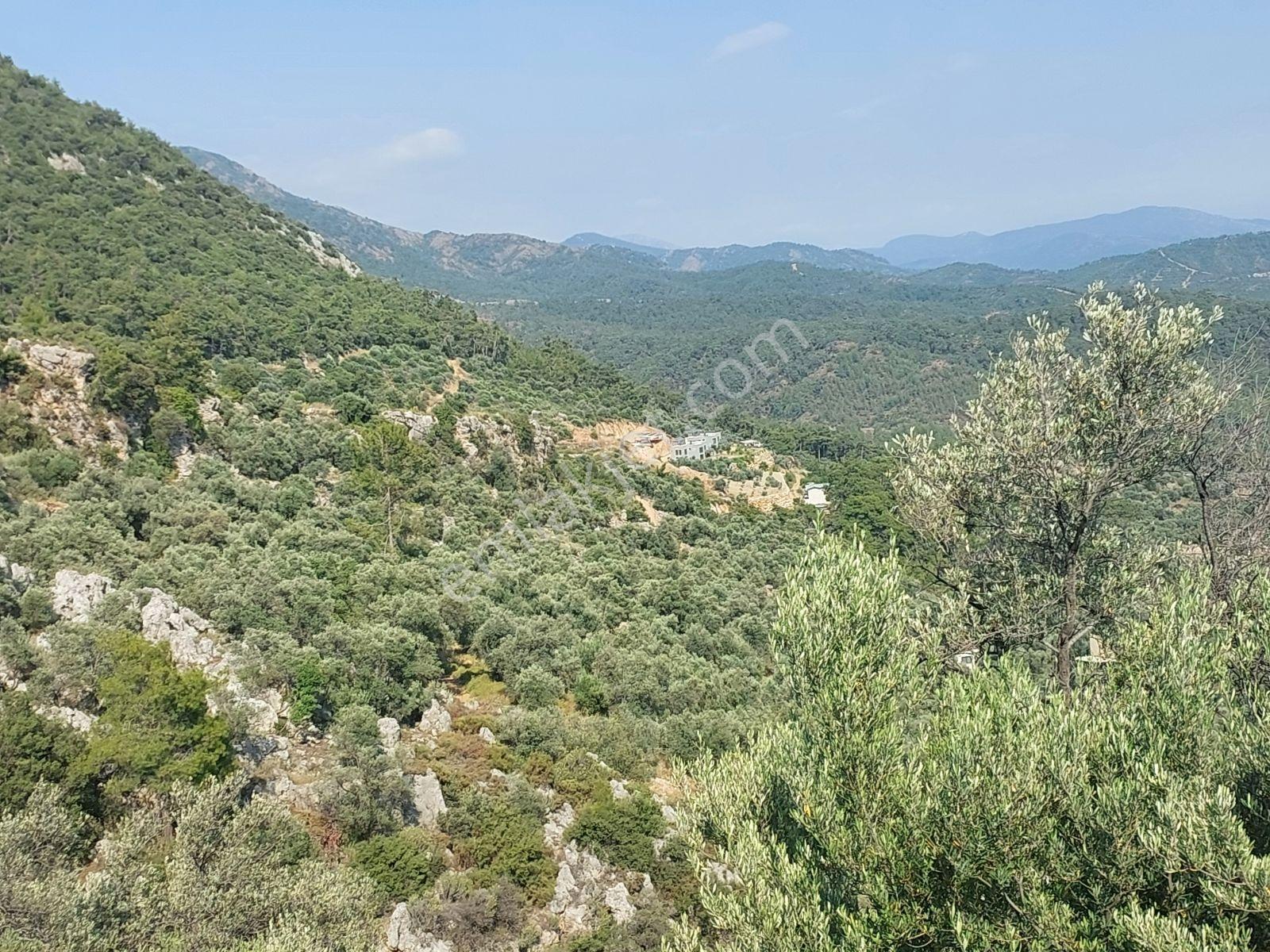 Fethiye İnlice Mh 5270m2 Satılık Tarımdışı Gayrimenkul — fotoğraf 13