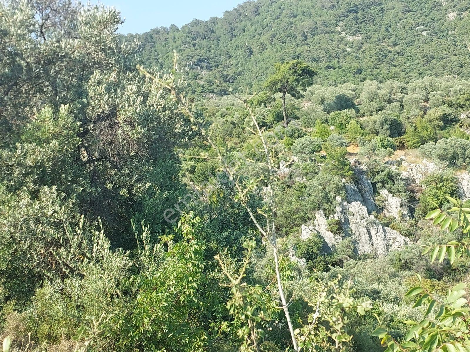 Fethiye İnlice Mh 5270m2 Satılık Tarımdışı Gayrimenkul — fotoğraf 14