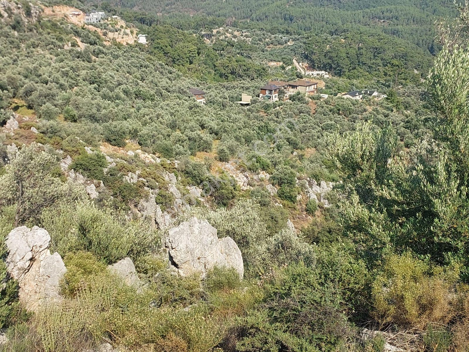 Fethiye İnlice Mh 5270m2 Satılık Tarımdışı Gayrimenkul — fotoğraf 16