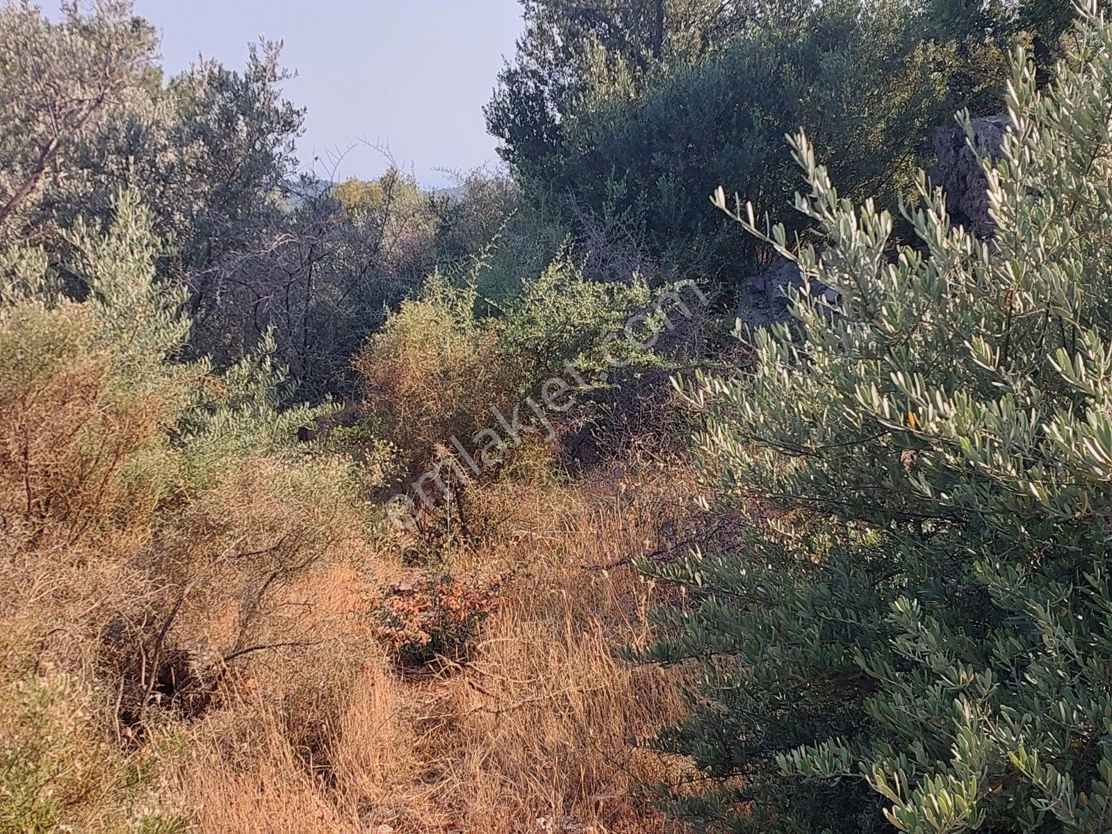 Fethiye İnlice Mh 5270m2 Satılık Tarımdışı Gayrimenkul — fotoğraf 17