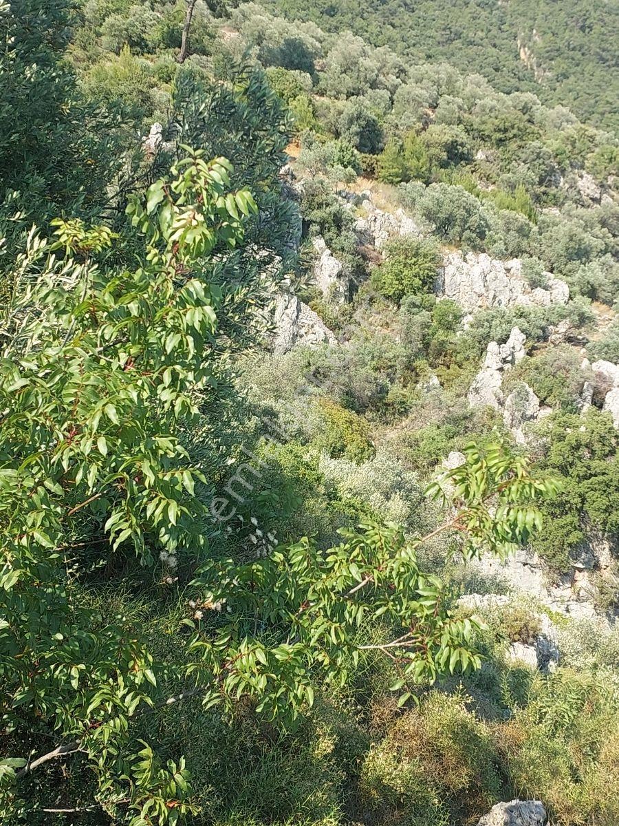 Fethiye İnlice Mh 5270m2 Satılık Tarımdışı Gayrimenkul — fotoğraf 18