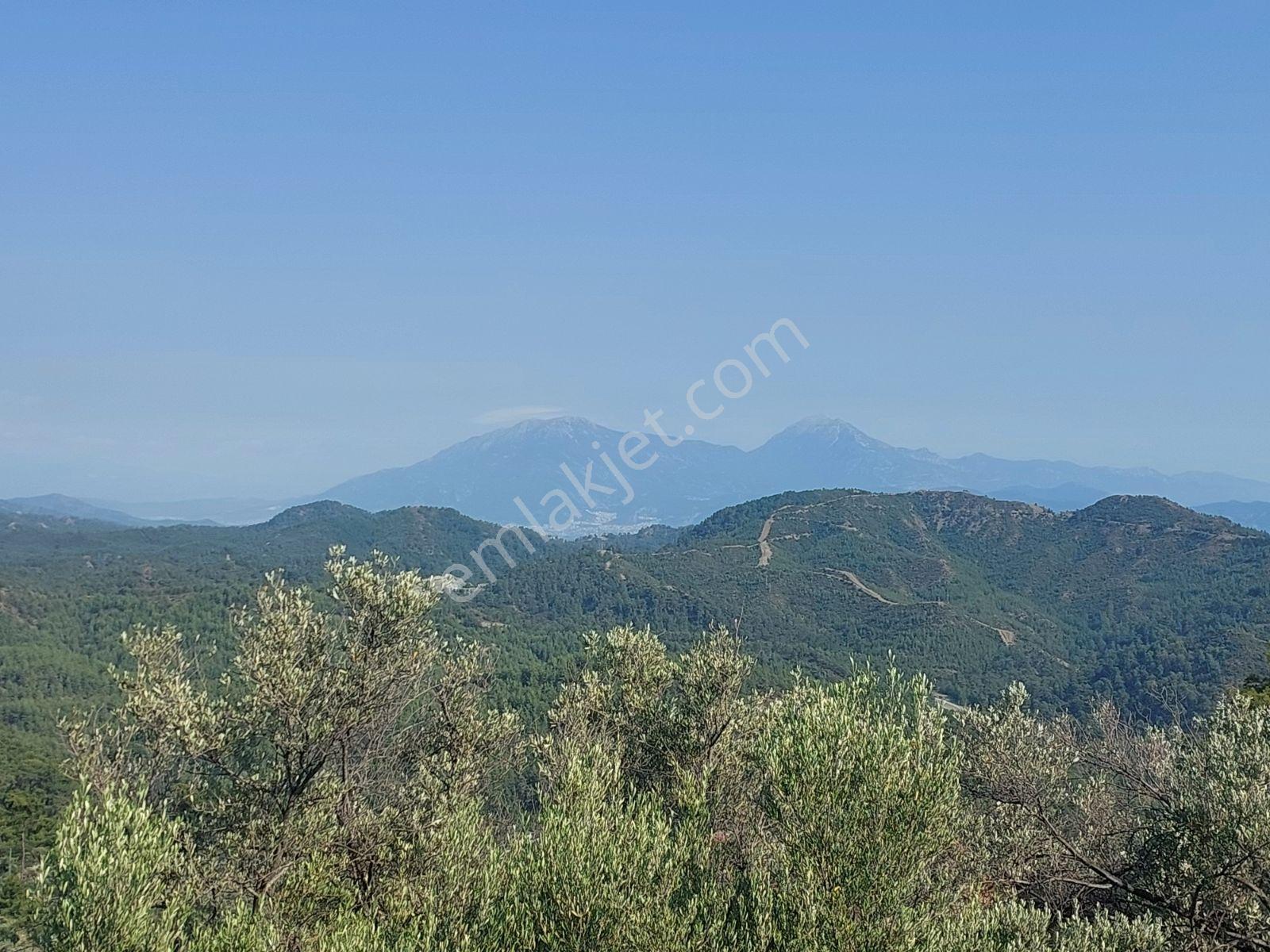 Fethiye İnlice Mh 5270m2 Satılık Tarımdışı Gayrimenkul — fotoğraf 19