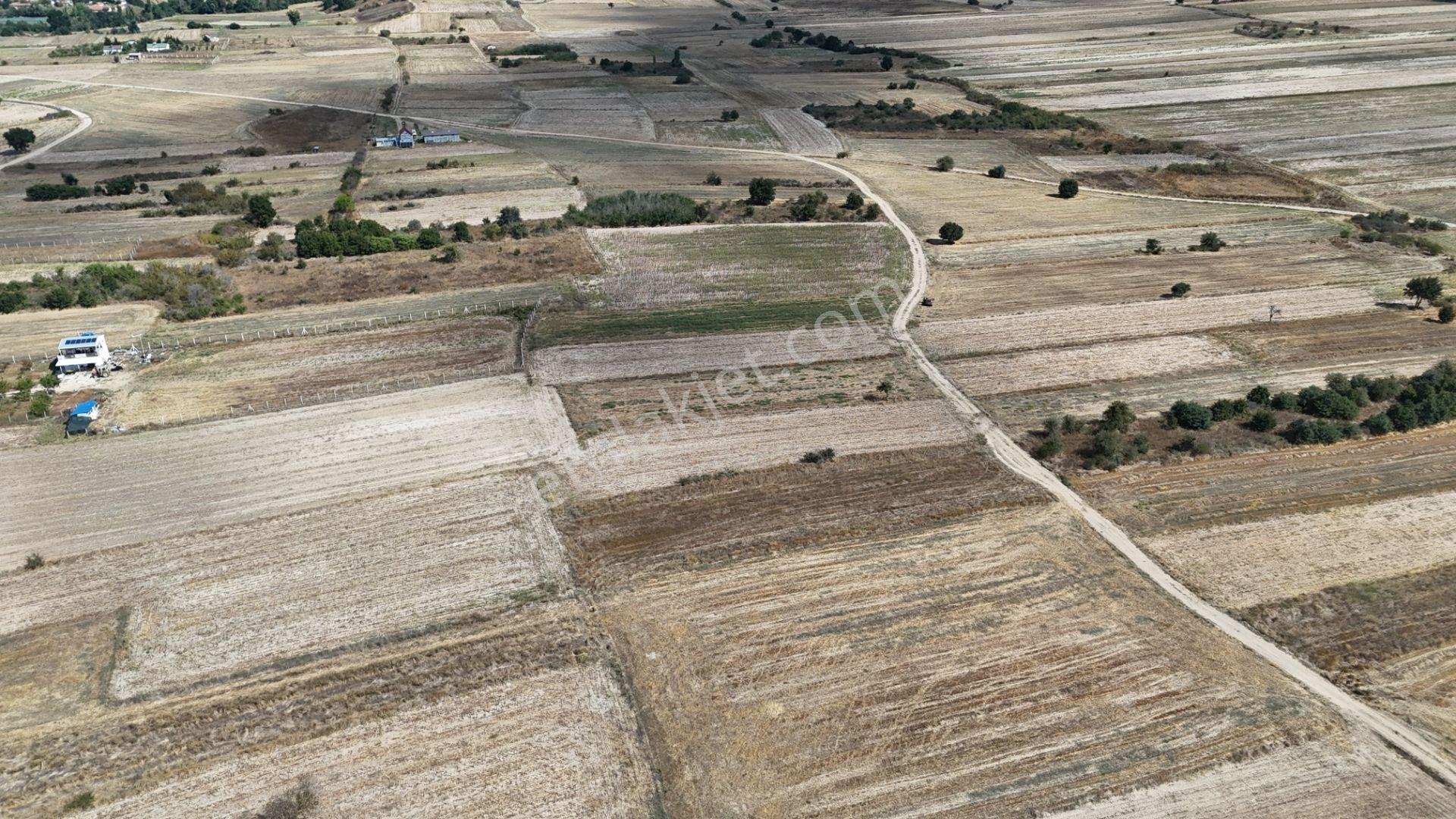 Bulvar Emlak’tan Kavakdere Köyü’nde Resmi Yollu 1.800 M² Satılık Tarla — fotoğraf 8