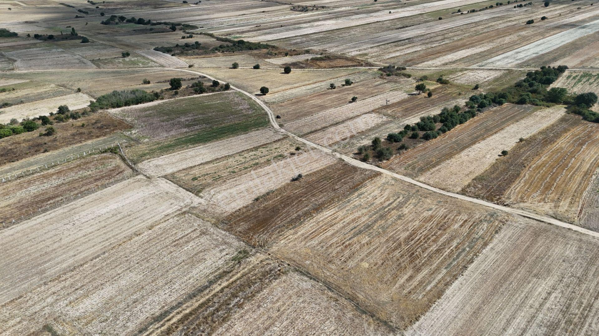 Bulvar Emlak’tan Kavakdere Köyü’nde Resmi Yollu 1.800 M² Satılık Tarla — fotoğraf 9