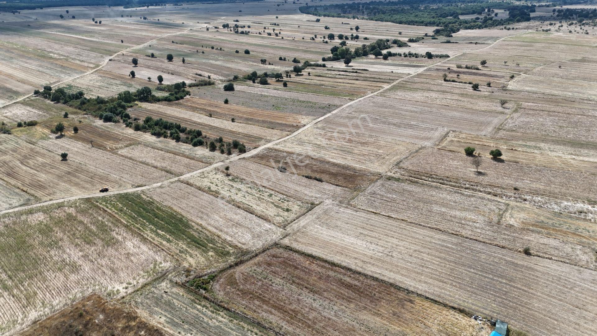 Bulvar Emlak’tan Kavakdere Köyü’nde Resmi Yollu 1.800 M² Satılık Tarla — fotoğraf 13