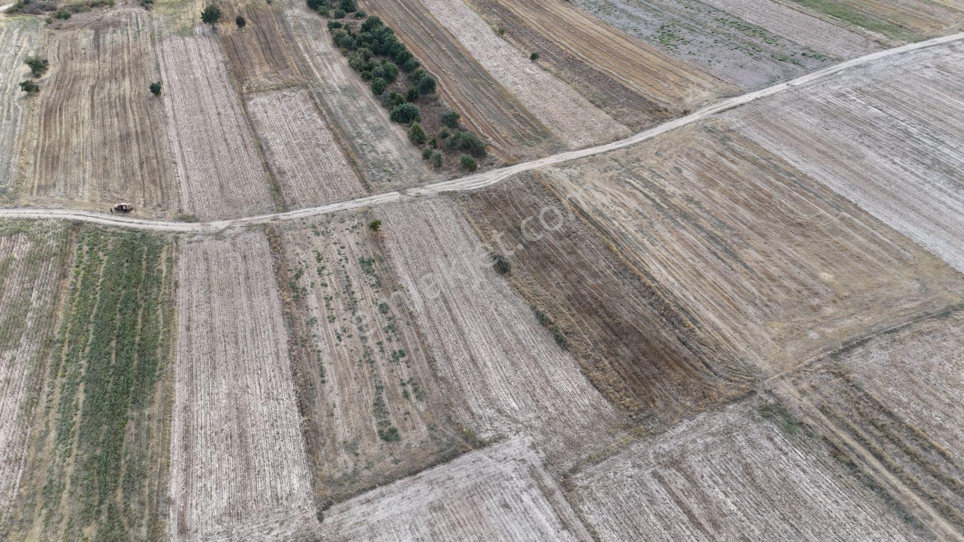 Bulvar Emlak’tan Kavakdere Köyü’nde Resmi Yollu 1.800 M² Satılık Tarla — fotoğraf 15