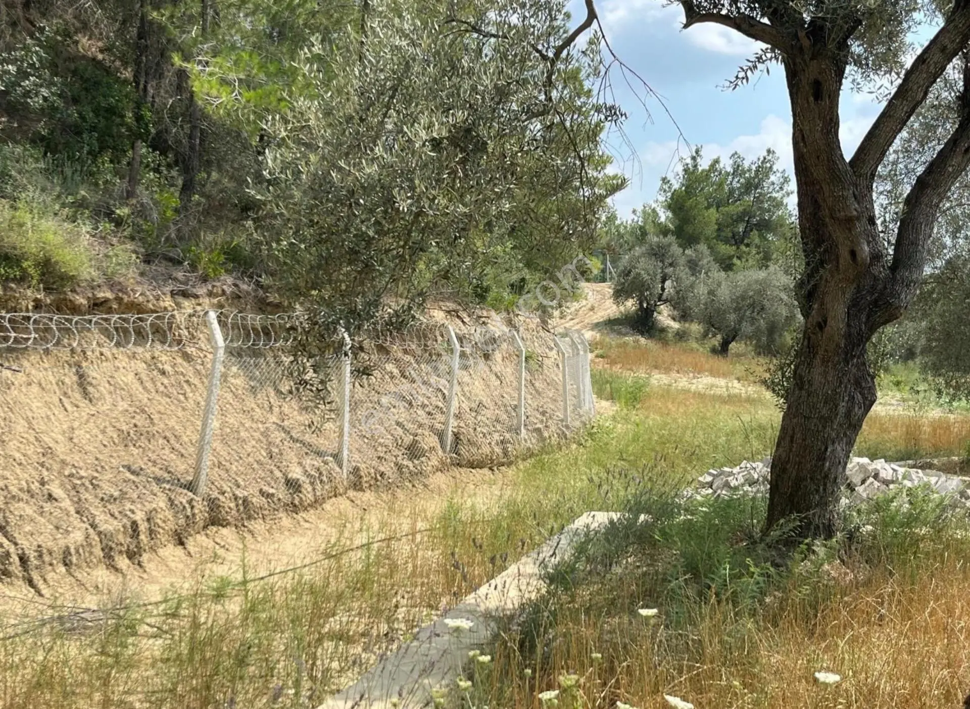 Çukurova Fadıl 6261m2 Tek Tapu 63 M' 2+1 Prefabrik Ev Ve 1 Adet 21 M2 Depo Zeytin Ağacı Damlama — fotoğraf 2