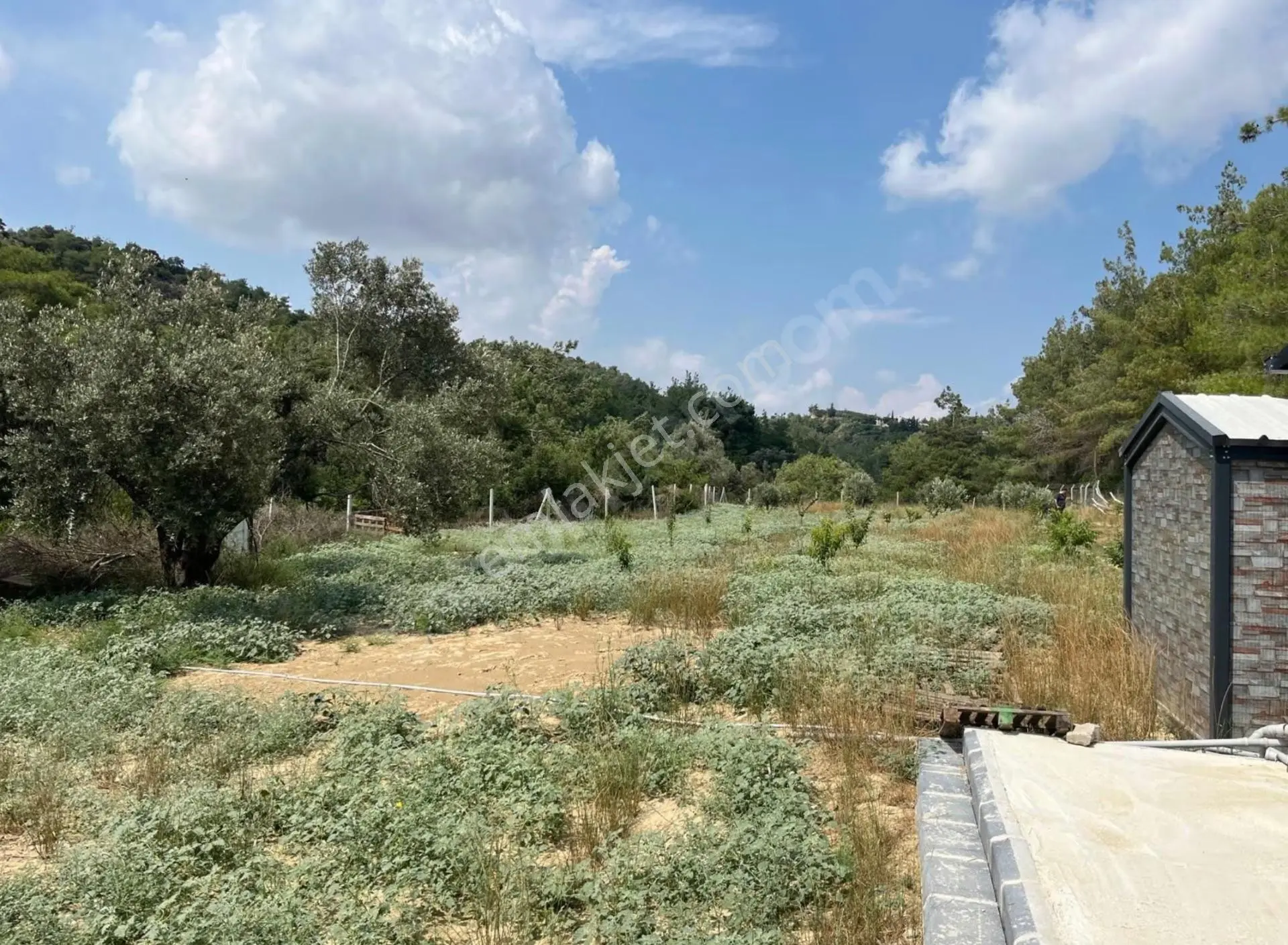 Çukurova Fadıl 6261m2 Tek Tapu 63 M' 2+1 Prefabrik Ev Ve 1 Adet 21 M2 Depo Zeytin Ağacı Damlama — fotoğraf 5