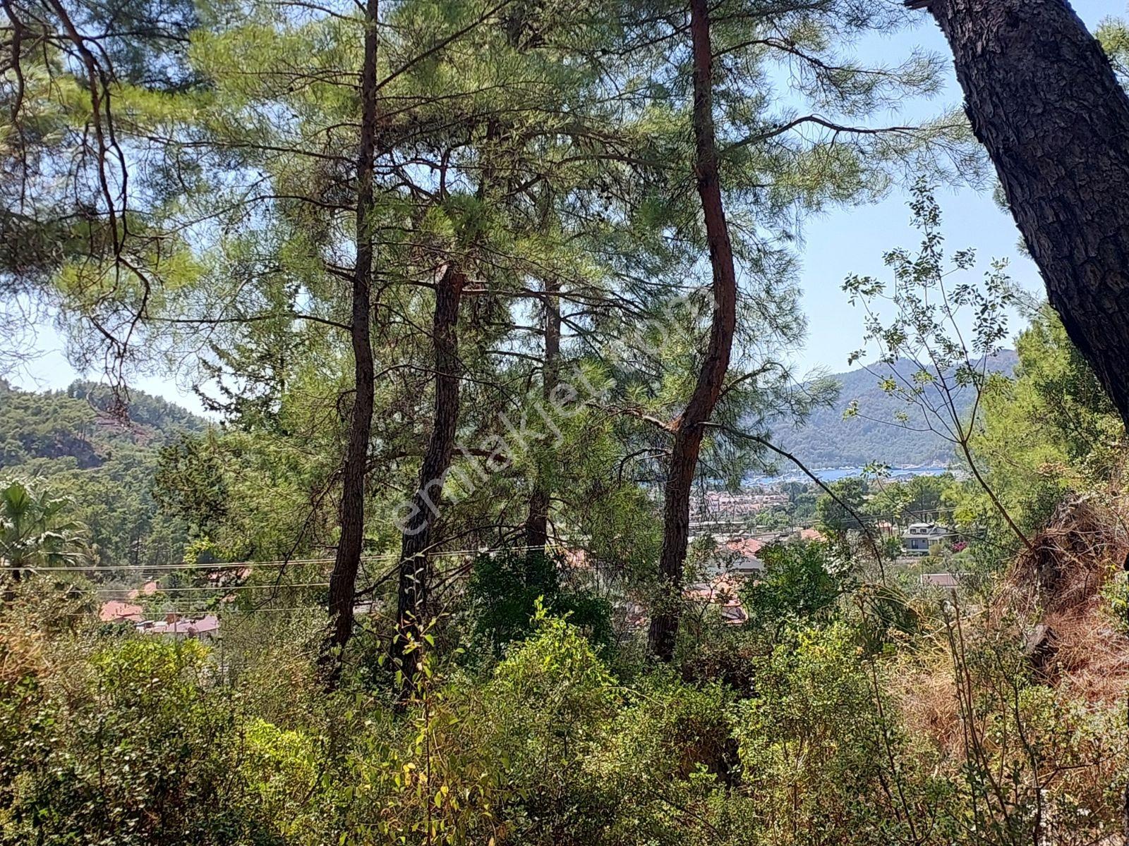 Göcekte Full Panaromik Deniz Manzaralı 6080m2 Satılık Arazi — fotoğraf 2
